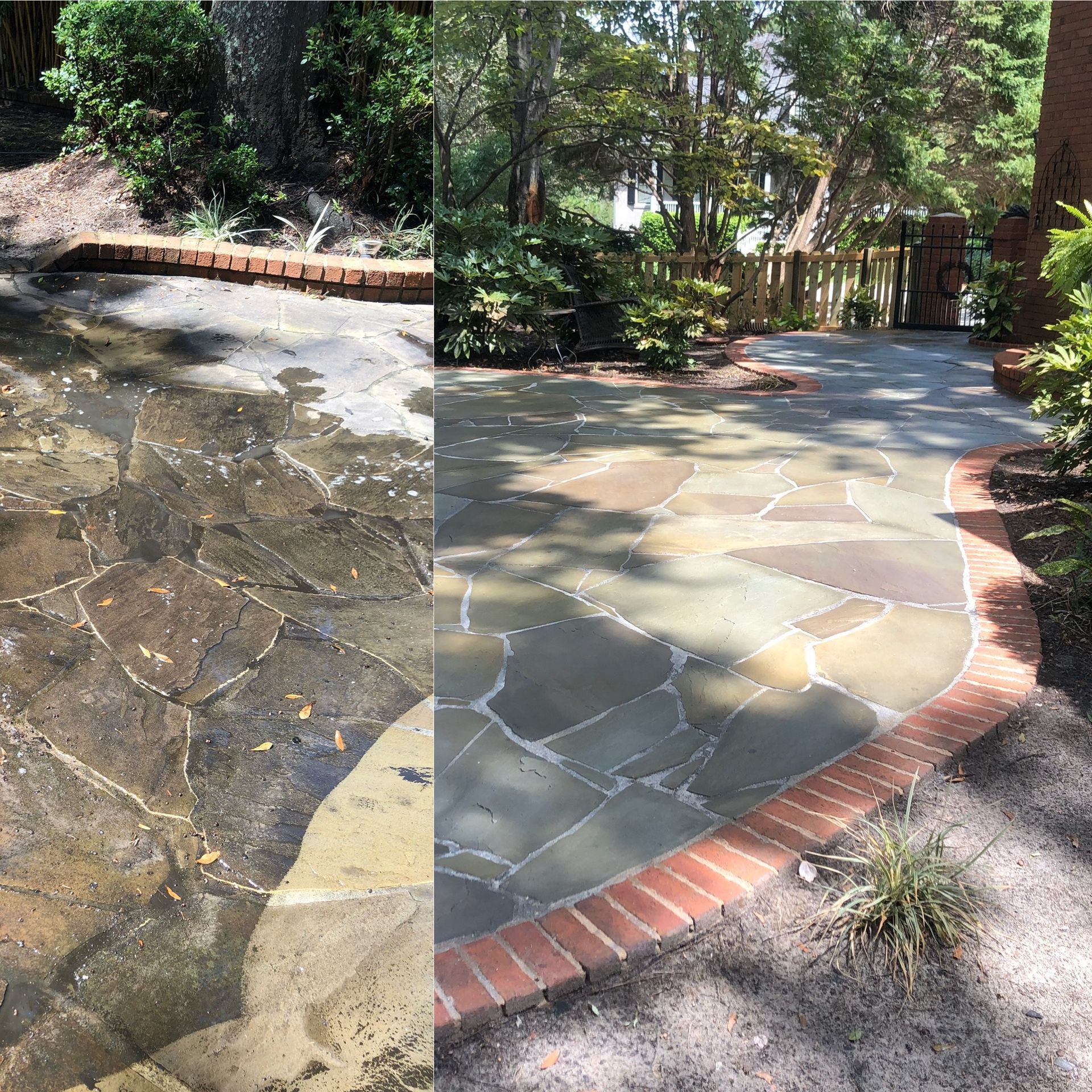 Eco-Flo Pressure Washing, Pressure Washing, Pressure Washer Near Me, Power Washer Near Me, Commercial Power Washing, Commercial Pressure Washer Near Me, Commercial Pressure Washing Company, Pressure Washing Company Near Me, Pressure Washing House, Softwash House, Pressure Washing Driveway, Pressure Washing Sidewalk, Pressure Washing Patio, Pressure Washing Concrete, Concrete Cleaning, Pressure Washing Structures, Pressure Washing Parking Garages, Pressure Washing Apartment Complexes, Pressure Washing Buildings, Johns Island Pressure Washing, Johns Island Power Washing, Johns Island Soft Washing, Seabrook Pressure Washing, Seabrook Power Washing, Seabrook Soft Washing, Kiawah Island Pressure Washing, Kiawah Island Power Washing, Kiawah Island Soft Washing, Eco Friendly Pressure Washing, Large Scale Pressure Washing, Commercial Softwash, Charleston County SC, Johns Island SC, Brownswood Village Johns Island SC, Wadmalaw Island SC, North Charleston SC, Charleston SC, West Ashley Charleston SC, James Island Charleston SC, Stiles Point Charleston SC, Whitehouse Plantation Charleston SC, Cassique SC, Summerville SC, Mt Pleasant SC, Isle of Palms SC, Kiawah Island SC, West Beach Village Kiawah Island SC, Ocean Park Kiawah Island SC, Seabrook Island SC, Sullivans Island Sullivan's Island SC