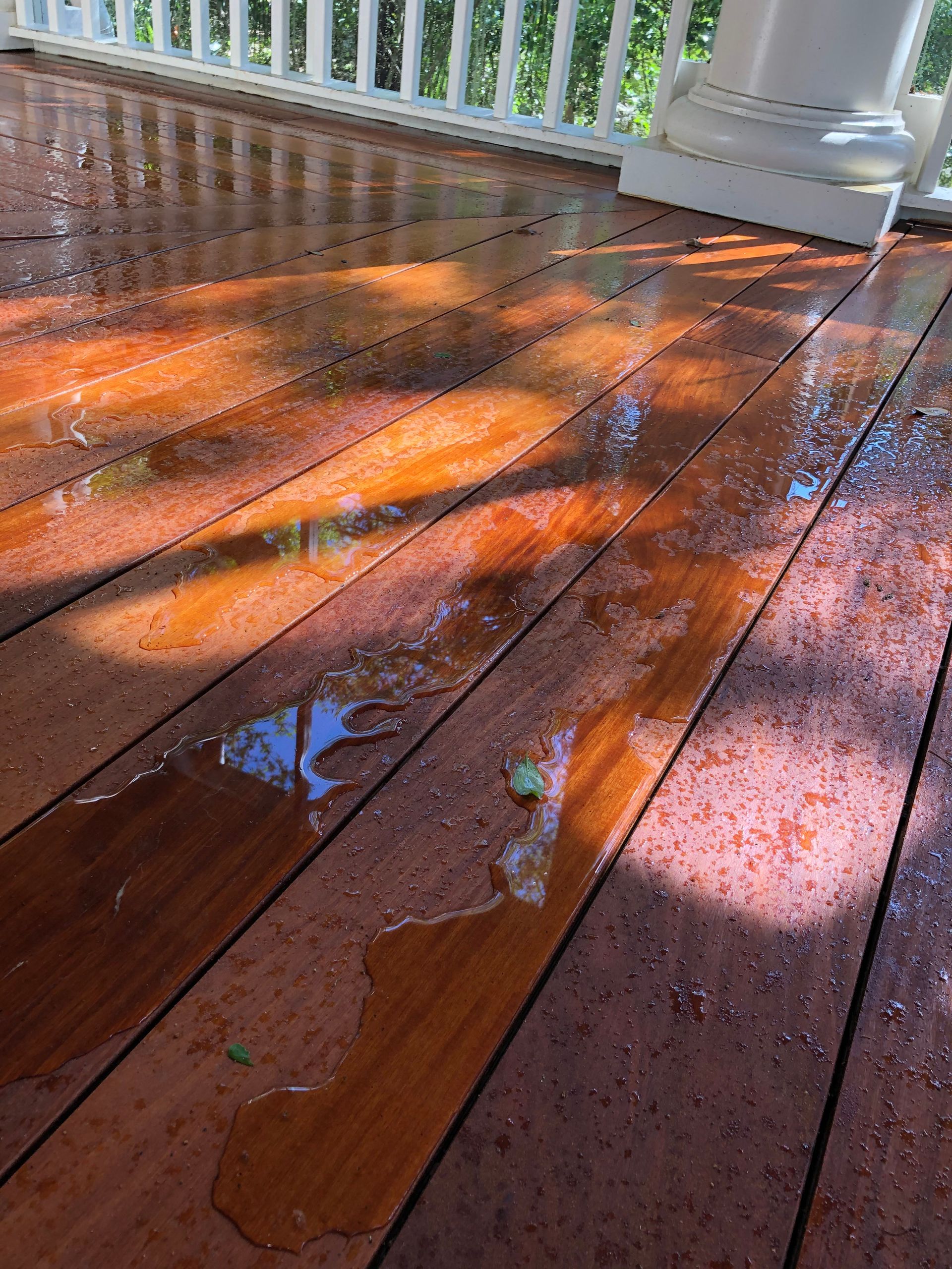 Eco-Flo Pressure Washing, Pressure Washing, Pressure Washer Near Me, Power Washer Near Me, Commercial Power Washing, Commercial Pressure Washer Near Me, Commercial Pressure Washing Company, Pressure Washing Company Near Me, Pressure Washing House, Softwash House, Pressure Washing Driveway, Pressure Washing Sidewalk, Pressure Washing Patio, Pressure Washing Concrete, Concrete Cleaning, Pressure Washing Structures, Pressure Washing Parking Garages, Pressure Washing Apartment Complexes, Pressure Washing Buildings, Johns Island Pressure Washing, Johns Island Power Washing, Johns Island Soft Washing, Seabrook Pressure Washing, Seabrook Power Washing, Seabrook Soft Washing, Kiawah Island Pressure Washing, Kiawah Island Power Washing, Kiawah Island Soft Washing, Eco Friendly Pressure Washing, Large Scale Pressure Washing, Commercial Softwash, Charleston County SC, Johns Island SC, Brownswood Village Johns Island SC, Wadmalaw Island SC, North Charleston SC, Charleston SC, West Ashley Charleston SC, James Island Charleston SC, Stiles Point Charleston SC, Whitehouse Plantation Charleston SC, Cassique SC, Summerville SC, Mt Pleasant SC, Isle of Palms SC, Kiawah Island SC, West Beach Village Kiawah Island SC, Ocean Park Kiawah Island SC, Seabrook Island SC, Sullivans Island Sullivan's Island SC