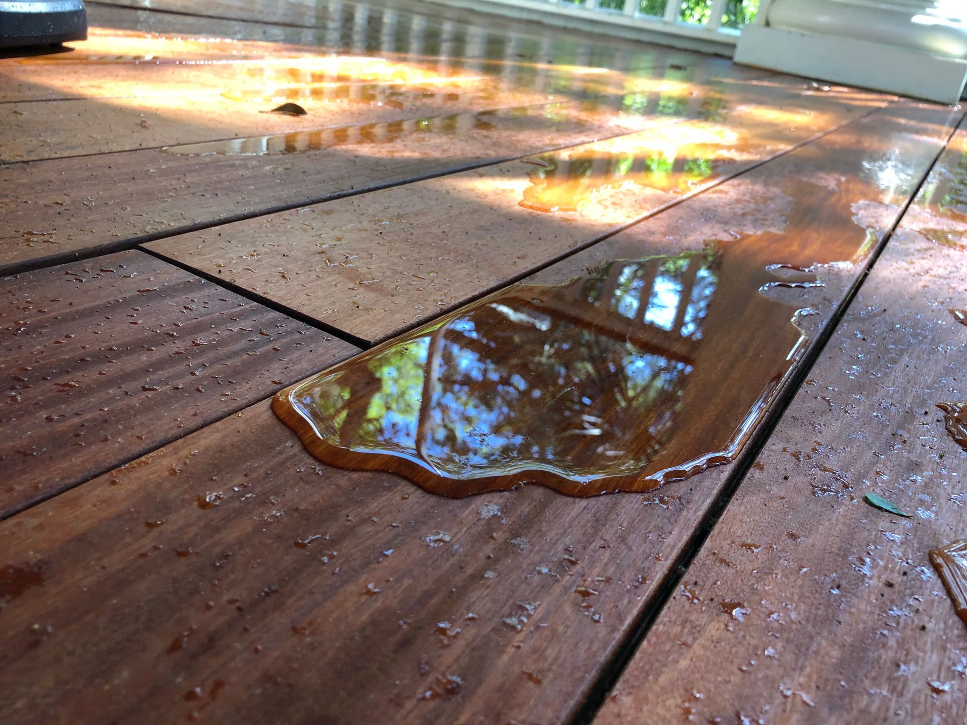 Eco-Flo Pressure Washing, Pressure Washing, Pressure Washer Near Me, Power Washer Near Me, Commercial Power Washing, Commercial Pressure Washer Near Me, Commercial Pressure Washing Company, Pressure Washing Company Near Me, Pressure Washing House, Softwash House, Pressure Washing Driveway, Pressure Washing Sidewalk, Pressure Washing Patio, Pressure Washing Concrete, Concrete Cleaning, Pressure Washing Structures, Pressure Washing Parking Garages, Pressure Washing Apartment Complexes, Pressure Washing Buildings, Johns Island Pressure Washing, Johns Island Power Washing, Johns Island Soft Washing, Seabrook Pressure Washing, Seabrook Power Washing, Seabrook Soft Washing, Kiawah Island Pressure Washing, Kiawah Island Power Washing, Kiawah Island Soft Washing, Eco Friendly Pressure Washing, Large Scale Pressure Washing, Commercial Softwash, Charleston County SC, Johns Island SC, Brownswood Village Johns Island SC, Wadmalaw Island SC, North Charleston SC, Charleston SC, West Ashley Charleston SC, James Island Charleston SC, Stiles Point Charleston SC, Whitehouse Plantation Charleston SC, Cassique SC, Summerville SC, Mt Pleasant SC, Isle of Palms SC, Kiawah Island SC, West Beach Village Kiawah Island SC, Ocean Park Kiawah Island SC, Seabrook Island SC, Sullivans Island Sullivan's Island SC