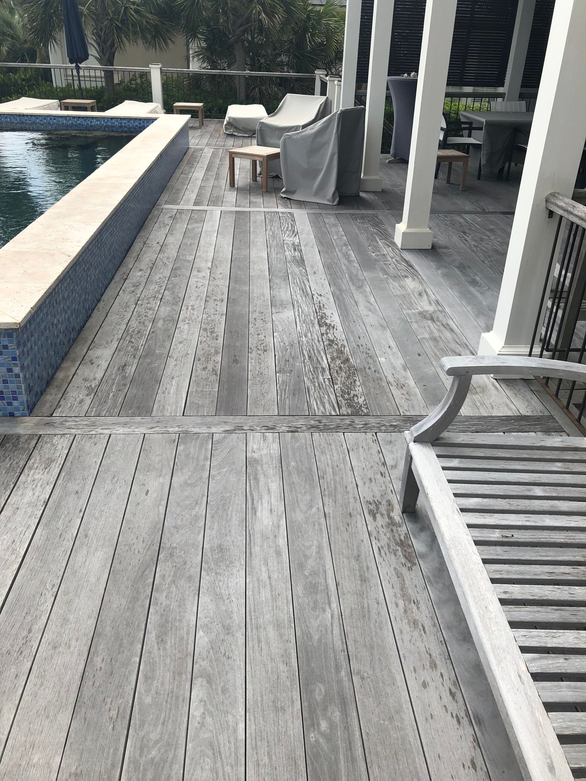 Eco-Flo Pressure Washing, Pressure Washing, Pressure Washer Near Me, Power Washer Near Me, Commercial Power Washing, Commercial Pressure Washer Near Me, Commercial Pressure Washing Company, Pressure Washing Company Near Me, Pressure Washing House, Softwash House, Pressure Washing Driveway, Pressure Washing Sidewalk, Pressure Washing Patio, Pressure Washing Concrete, Concrete Cleaning, Pressure Washing Structures, Pressure Washing Parking Garages, Pressure Washing Apartment Complexes, Pressure Washing Buildings, Johns Island Pressure Washing, Johns Island Power Washing, Johns Island Soft Washing, Seabrook Pressure Washing, Seabrook Power Washing, Seabrook Soft Washing, Kiawah Island Pressure Washing, Kiawah Island Power Washing, Kiawah Island Soft Washing, Eco Friendly Pressure Washing, Large Scale Pressure Washing, Commercial Softwash, Charleston County SC, Johns Island SC, Brownswood Village Johns Island SC, Wadmalaw Island SC, North Charleston SC, Charleston SC, West Ashley Charleston SC, James Island Charleston SC, Stiles Point Charleston SC, Whitehouse Plantation Charleston SC, Cassique SC, Summerville SC, Mt Pleasant SC, Isle of Palms SC, Kiawah Island SC, West Beach Village Kiawah Island SC, Ocean Park Kiawah Island SC, Seabrook Island SC, Sullivans Island Sullivan's Island SC