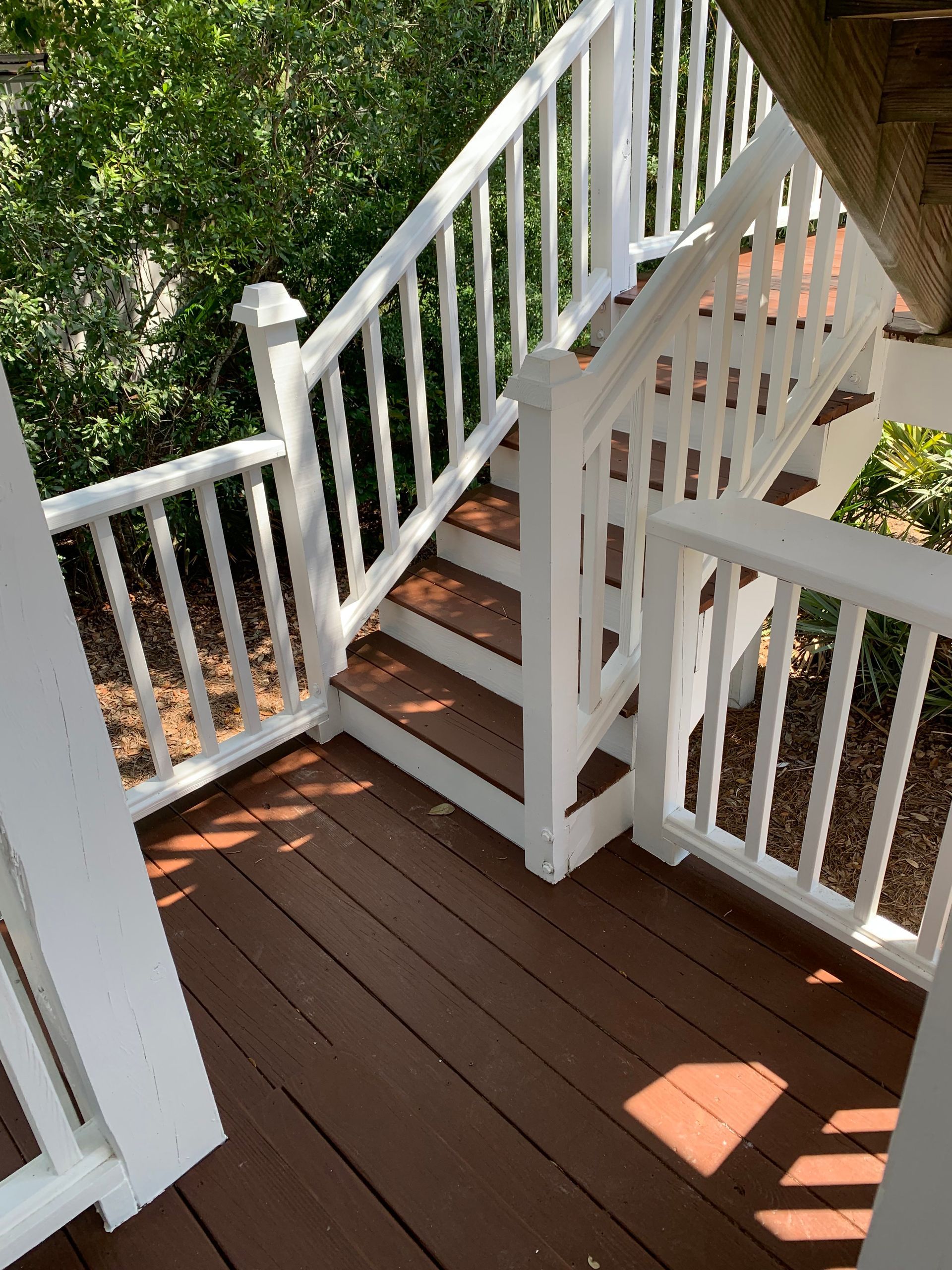 Eco-Flo Pressure Washing, Pressure Washing, Pressure Washer Near Me, Power Washer Near Me, Commercial Power Washing, Commercial Pressure Washer Near Me, Commercial Pressure Washing Company, Pressure Washing Company Near Me, Pressure Washing House, Softwash House, Pressure Washing Driveway, Pressure Washing Sidewalk, Pressure Washing Patio, Pressure Washing Concrete, Concrete Cleaning, Pressure Washing Structures, Pressure Washing Parking Garages, Pressure Washing Apartment Complexes, Pressure Washing Buildings, Johns Island Pressure Washing, Johns Island Power Washing, Johns Island Soft Washing, Seabrook Pressure Washing, Seabrook Power Washing, Seabrook Soft Washing, Kiawah Island Pressure Washing, Kiawah Island Power Washing, Kiawah Island Soft Washing, Eco Friendly Pressure Washing, Large Scale Pressure Washing, Commercial Softwash, Charleston County SC, Johns Island SC, Brownswood Village Johns Island SC, Wadmalaw Island SC, North Charleston SC, Charleston SC, West Ashley Charleston SC, James Island Charleston SC, Stiles Point Charleston SC, Whitehouse Plantation Charleston SC, Cassique SC, Summerville SC, Mt Pleasant SC, Isle of Palms SC, Kiawah Island SC, West Beach Village Kiawah Island SC, Ocean Park Kiawah Island SC, Seabrook Island SC, Sullivans Island Sullivan's Island SC