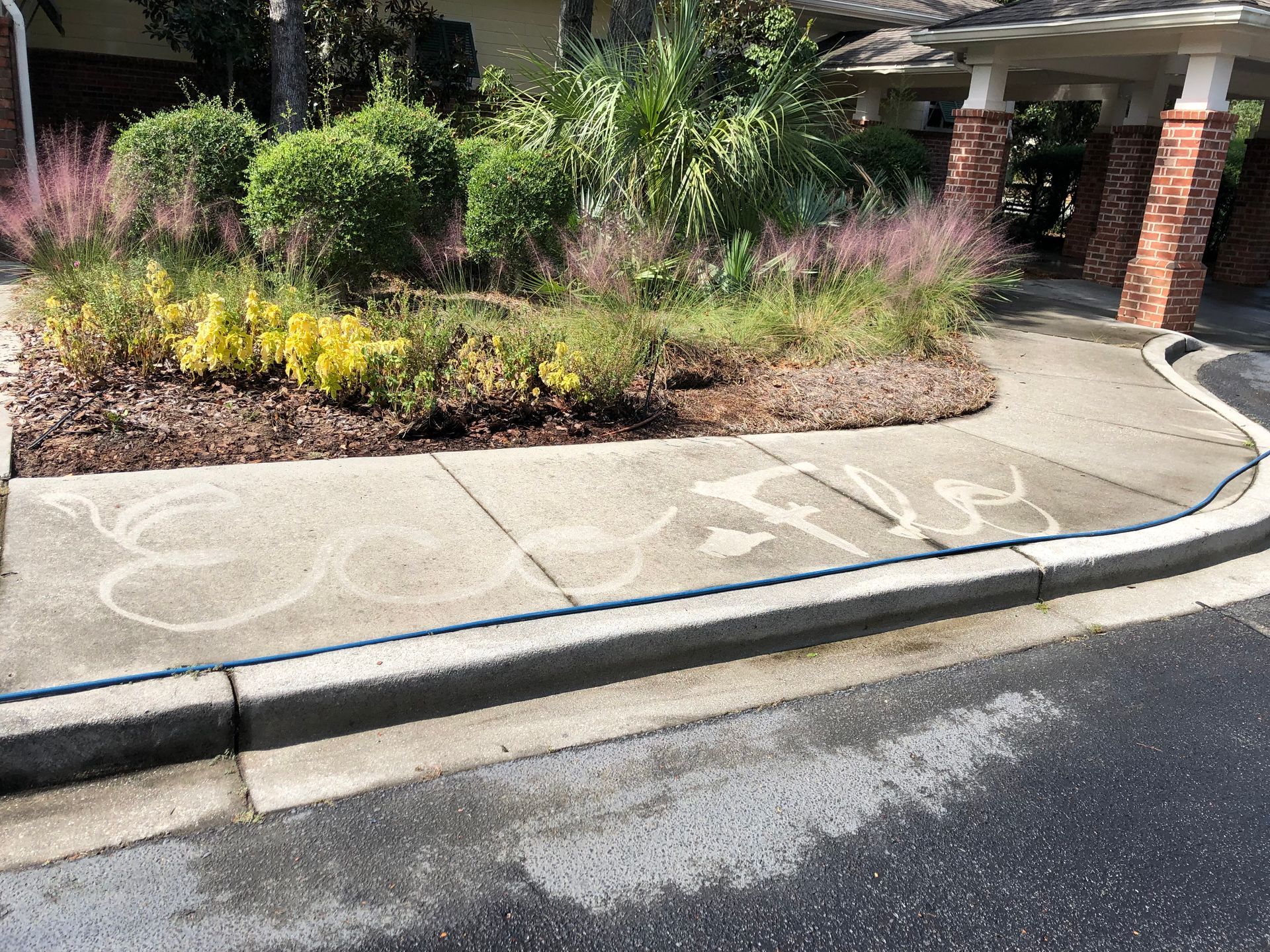 Eco-Flo Pressure Washing, Pressure Washing, Pressure Washer Near Me, Power Washer Near Me, Commercial Power Washing, Commercial Pressure Washer Near Me, Commercial Pressure Washing Company, Pressure Washing Company Near Me, Pressure Washing House, Softwash House, Pressure Washing Driveway, Pressure Washing Sidewalk, Pressure Washing Patio, Pressure Washing Concrete, Concrete Cleaning, Pressure Washing Structures, Pressure Washing Parking Garages, Pressure Washing Apartment Complexes, Pressure Washing Buildings, Johns Island Pressure Washing, Johns Island Power Washing, Johns Island Soft Washing, Seabrook Pressure Washing, Seabrook Power Washing, Seabrook Soft Washing, Kiawah Island Pressure Washing, Kiawah Island Power Washing, Kiawah Island Soft Washing, Eco Friendly Pressure Washing, Large Scale Pressure Washing, Commercial Softwash, Charleston County SC, Johns Island SC, Brownswood Village Johns Island SC, Wadmalaw Island SC, North Charleston SC, Charleston SC, West Ashley Charleston SC, James Island Charleston SC, Stiles Point Charleston SC, Whitehouse Plantation Charleston SC, Cassique SC, Summerville SC, Mt Pleasant SC, Isle of Palms SC, Kiawah Island SC, West Beach Village Kiawah Island SC, Ocean Park Kiawah Island SC, Seabrook Island SC, Sullivans Island Sullivan's Island SC