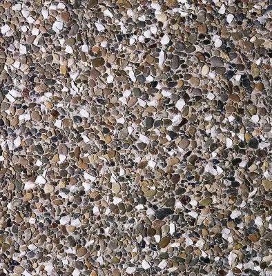 CIOTTOLONO AVANA OFANTINA