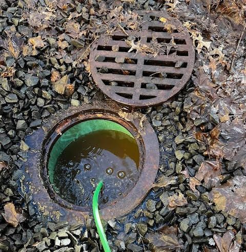 Open sewer drain with water and a green hose, surrounded by gravel and leaves.