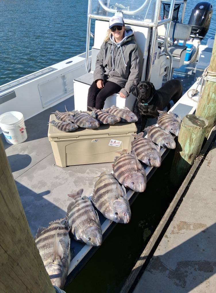 Woman on a boat with a dog and a cooler, several striped fish lined up on dock. Sunny day.