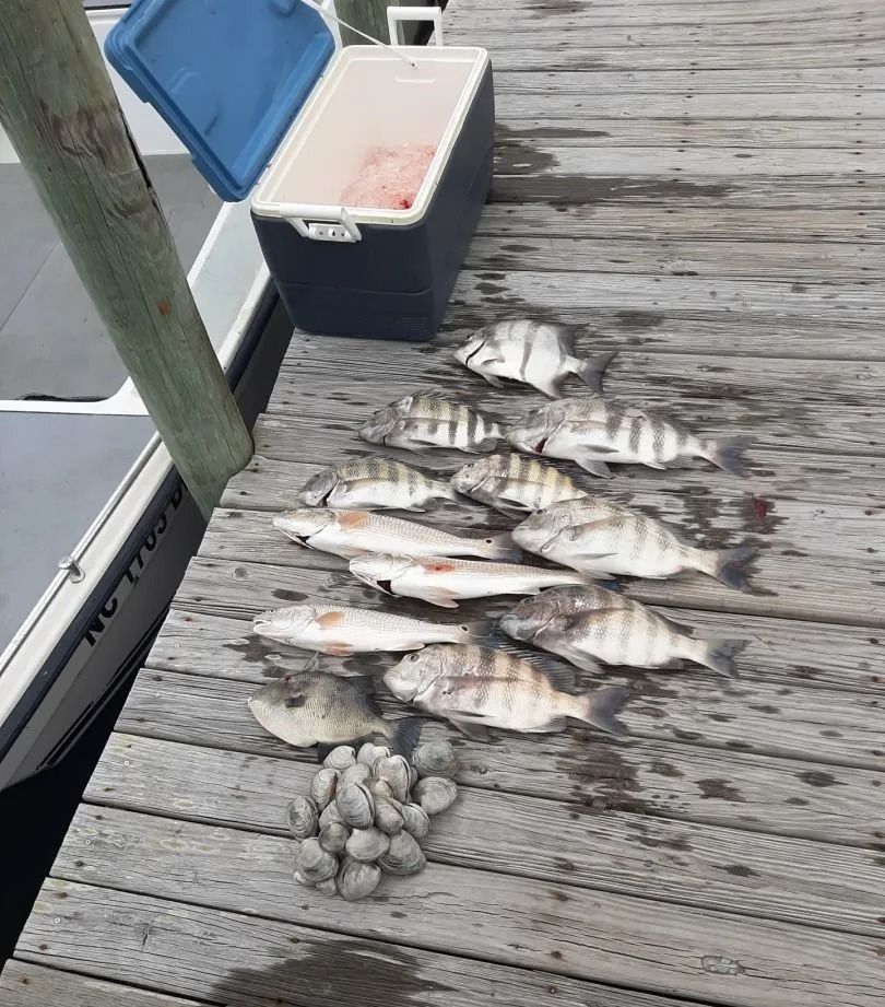 Pile of freshly caught fish and clams on a wooden dock next to a boat and cooler.