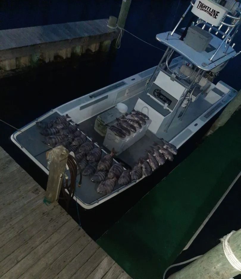 Boat at a dock at night with a large haul of fish laid out on its deck.