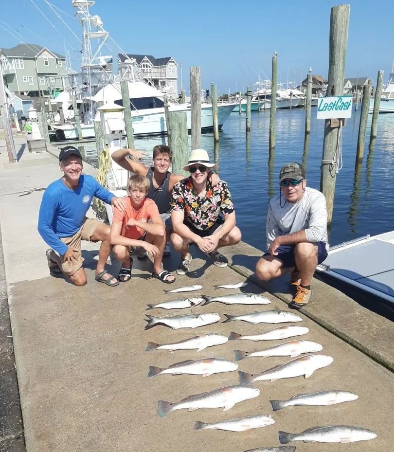 Five people crouch near dock, posing with a row of fish. Blue water and boats in background. Sunny day.