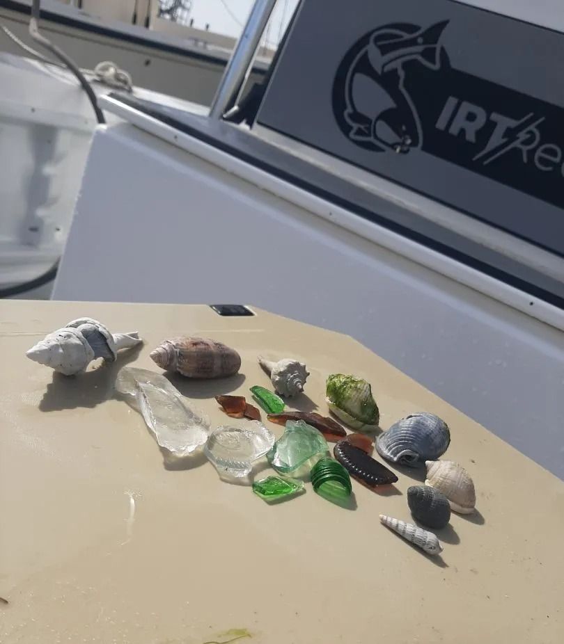 Seashells, sea glass, and rocks arranged on a boat's deck in the sunlight.