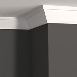 A corner of a room with a white crown molding on the ceiling.