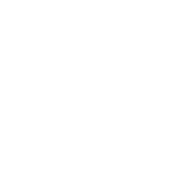 Palmerstown Credit Union