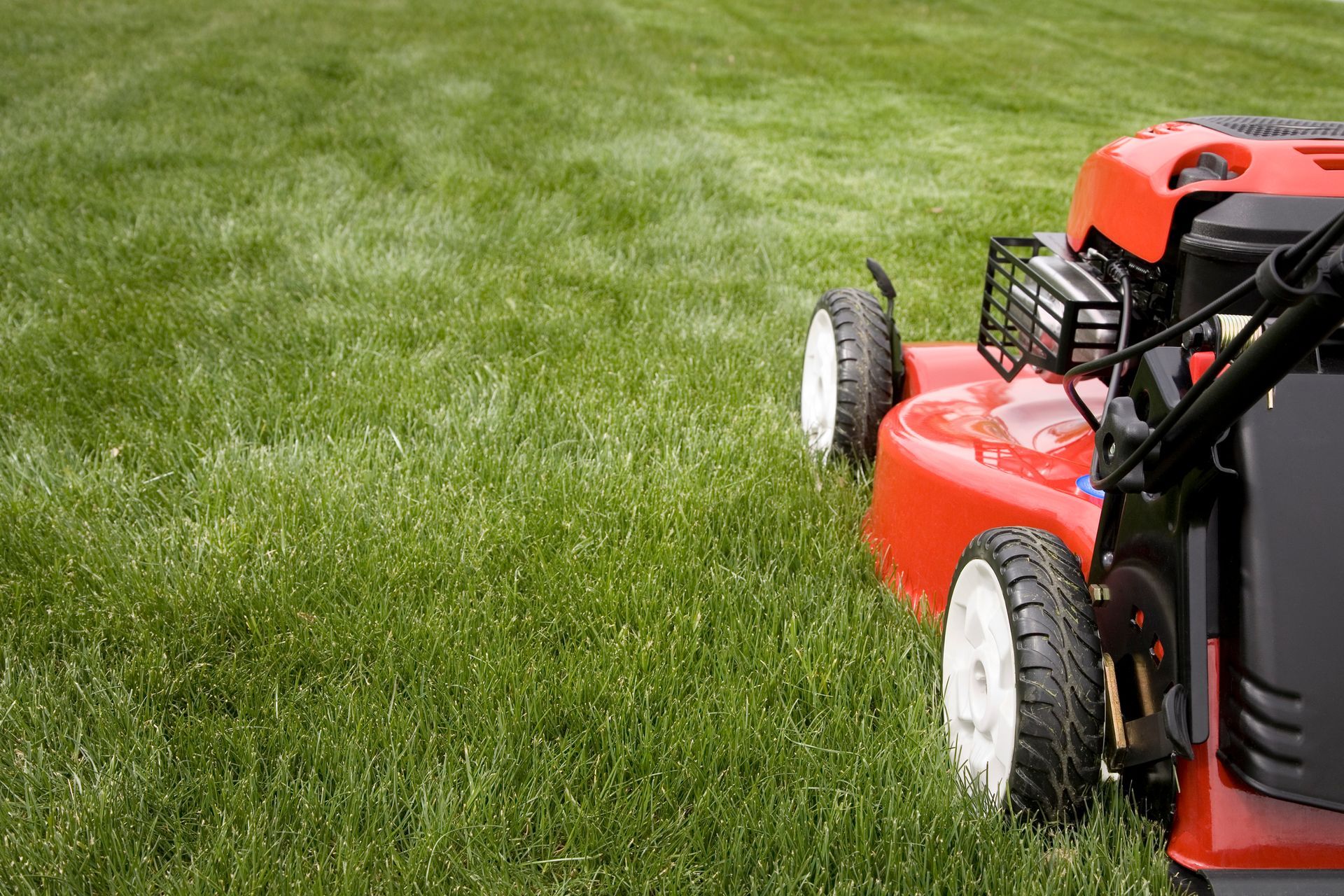 A new lawn mower in grass, highlighting smooth and effective mowing.