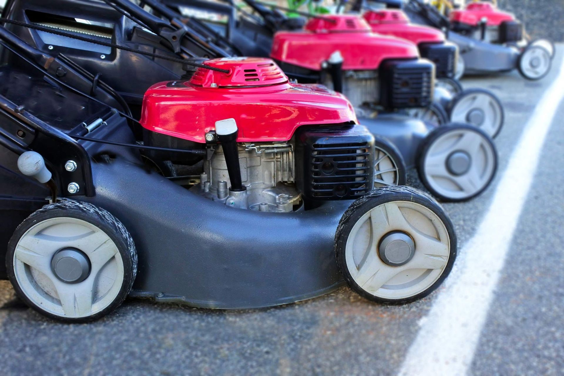 Group of red and black lawn mower machines behind a white line.