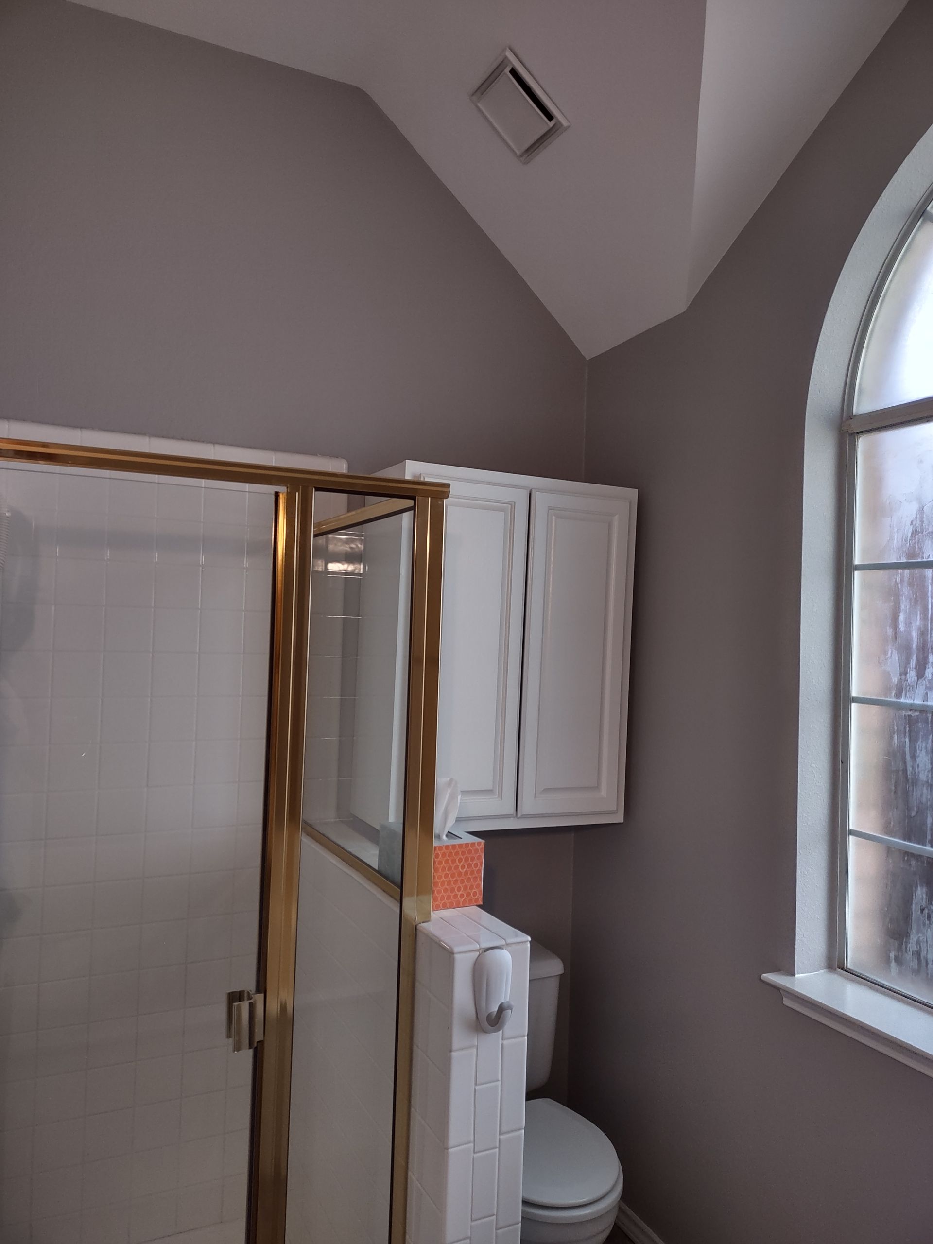 A bathroom with a toilet , shower and window