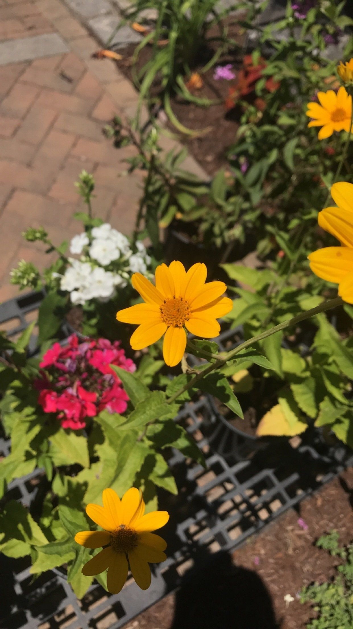 Landscaping | Virginia Beach, VA | Four Seasons Nursery