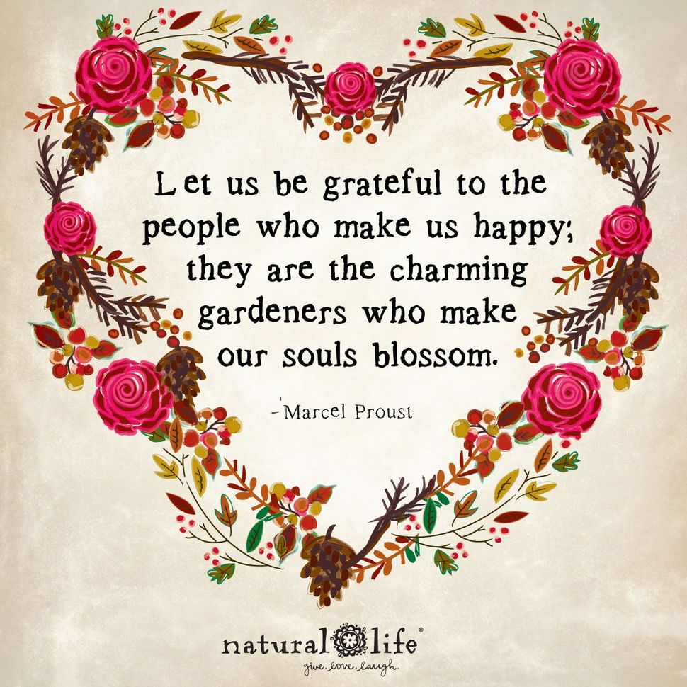 Landscaping Virginia Beach, VA Four Seasons Nursery