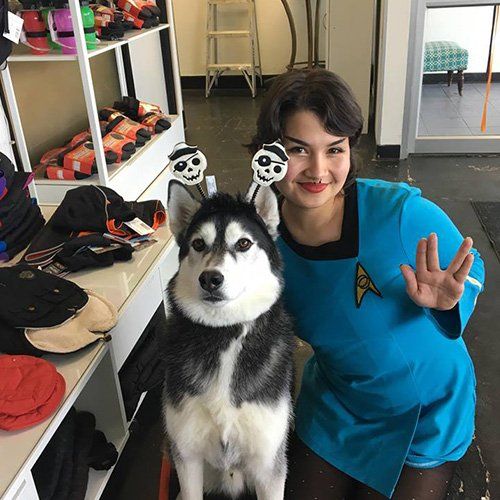 Calgary's Best Dog Daycare Pawsitively Pooched