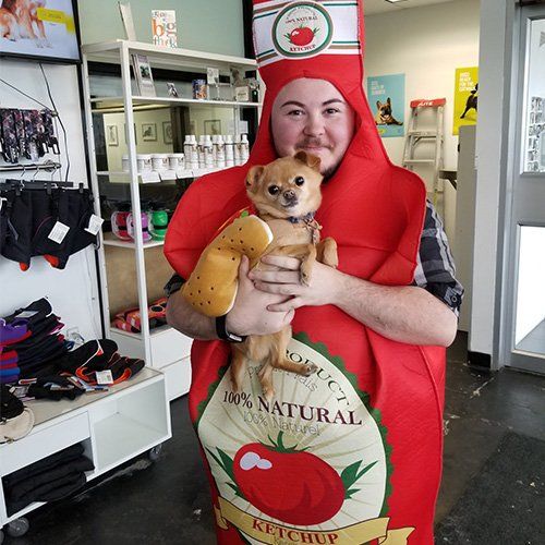 Calgary's Best Dog Daycare Pawsitively Pooched