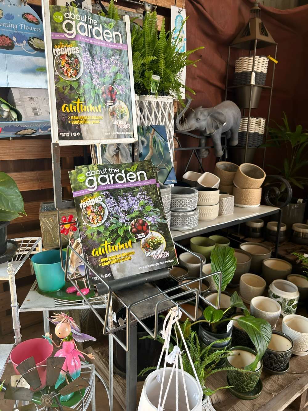 A Display of Potted Plants and Books in a Garden Center — Barnyard Stockfeed, Pet, Garden and Florist in Childers, QLD