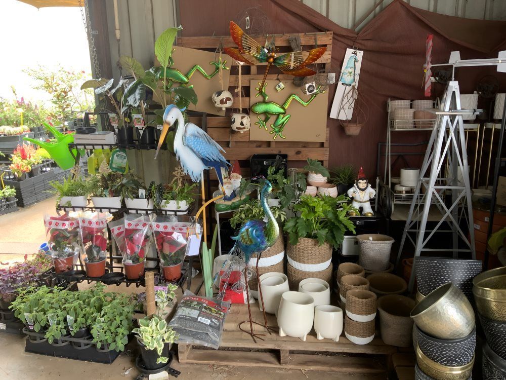 A Warehouse Filled With Lots of Potted Plants and Decorations — Barnyard Stockfeed, Pet, Garden and Florist in Childers, QLD