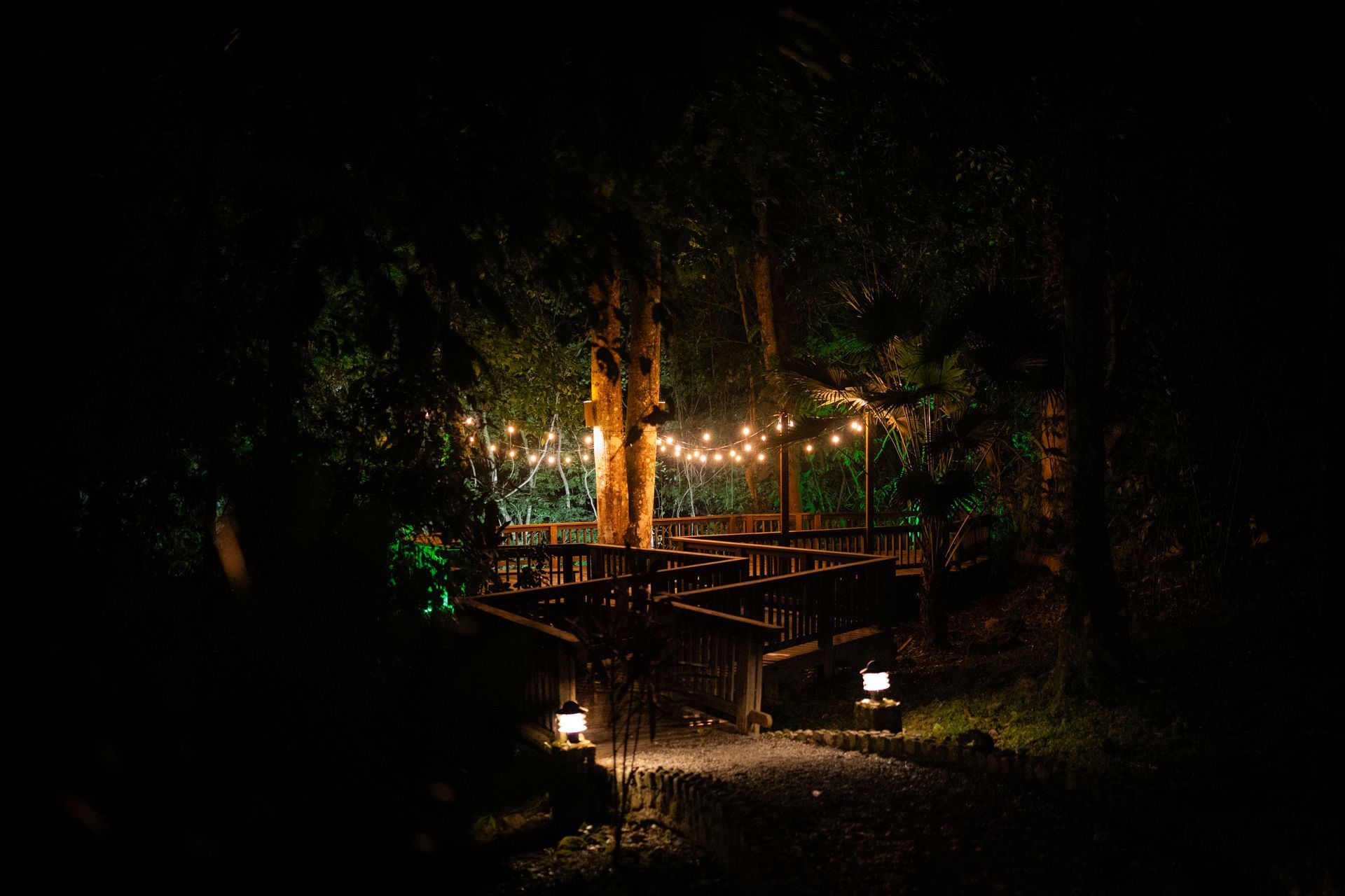 A wooden bridge is lit up at night in the woods.