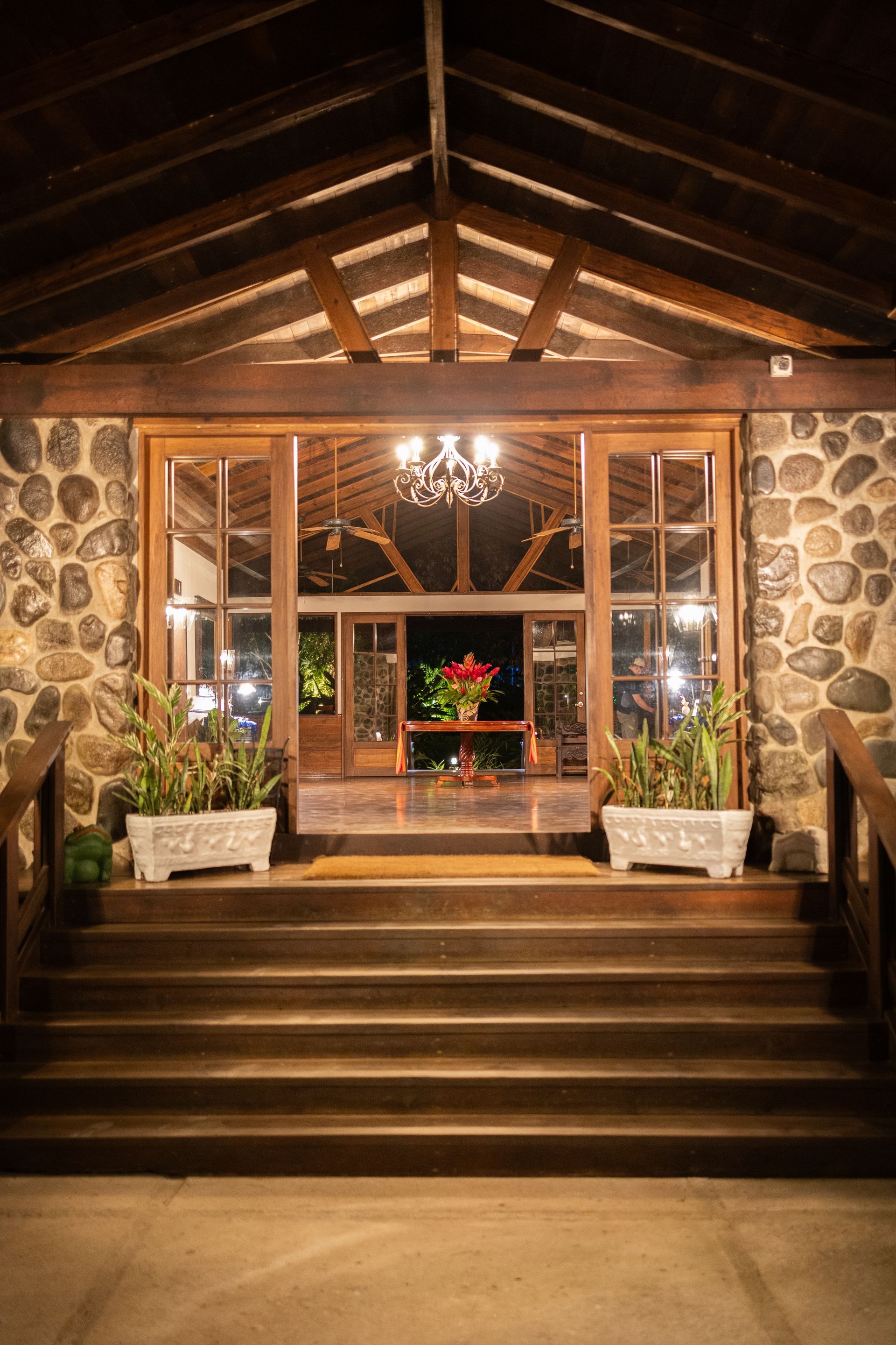 The entrance to a building with stairs and potted plants.