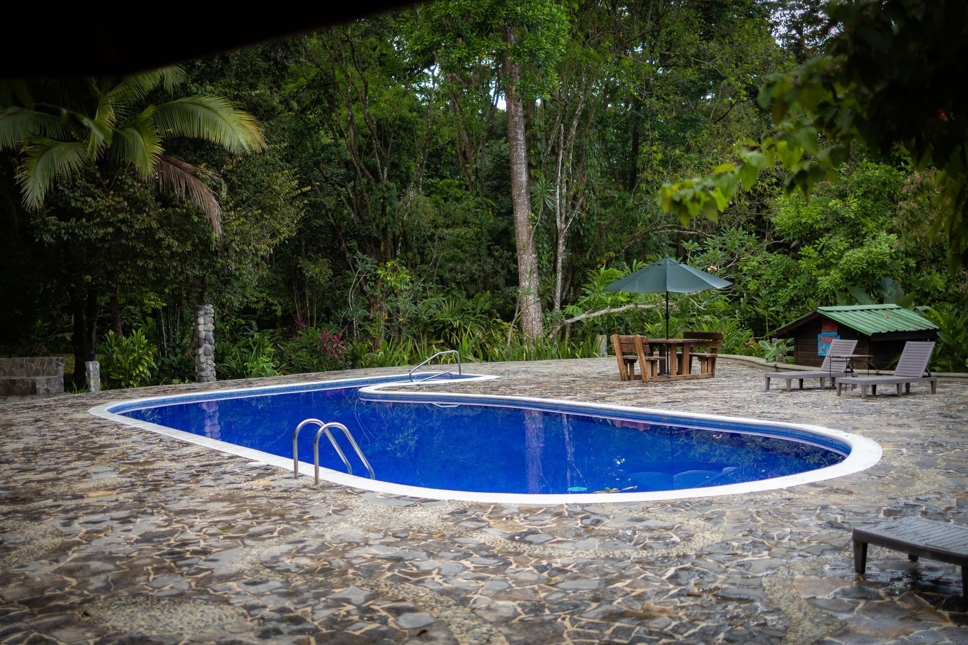 A large swimming pool surrounded by trees and chairs in the middle of a lush green forest.