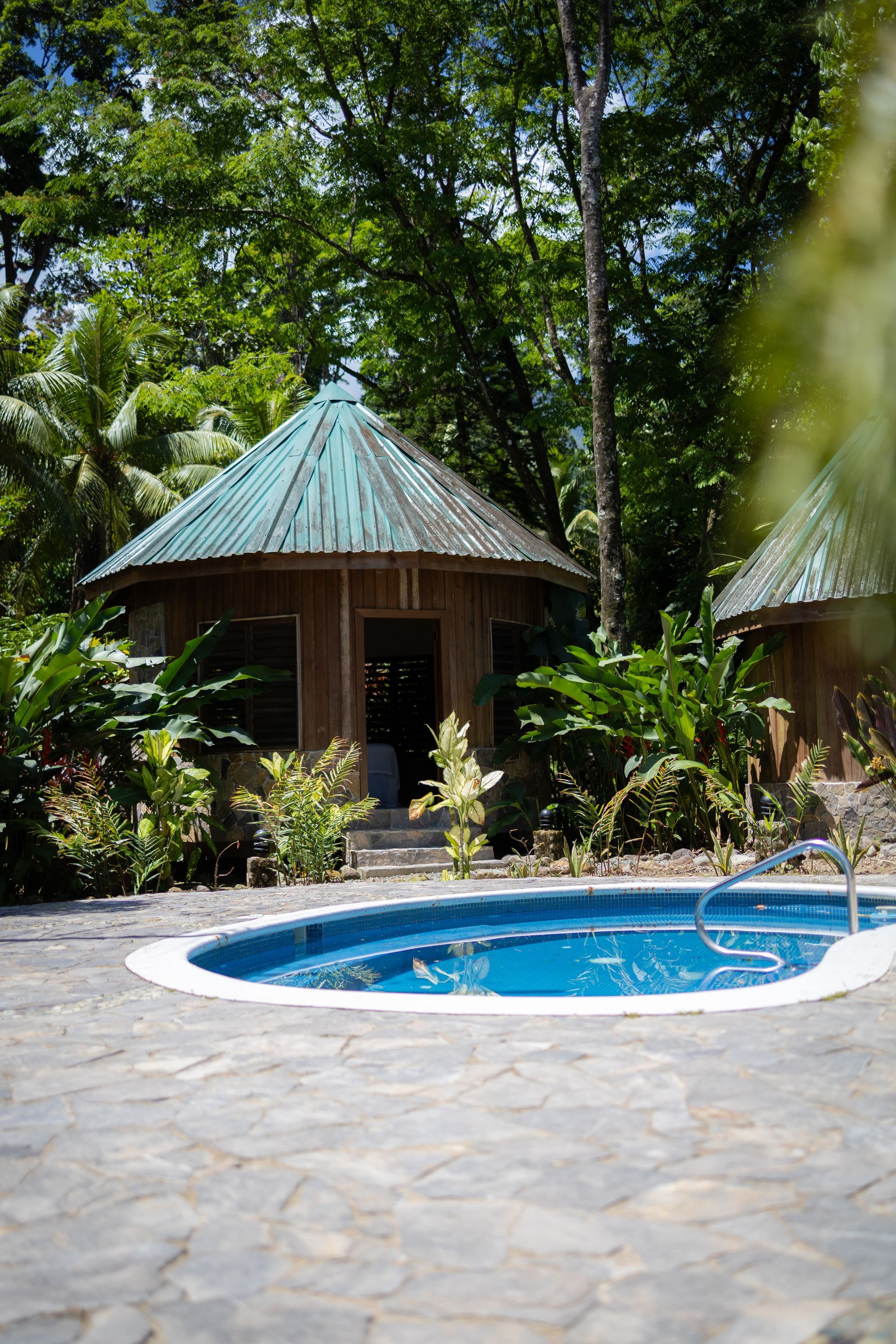 There is a swimming pool in the middle of a lush green forest.