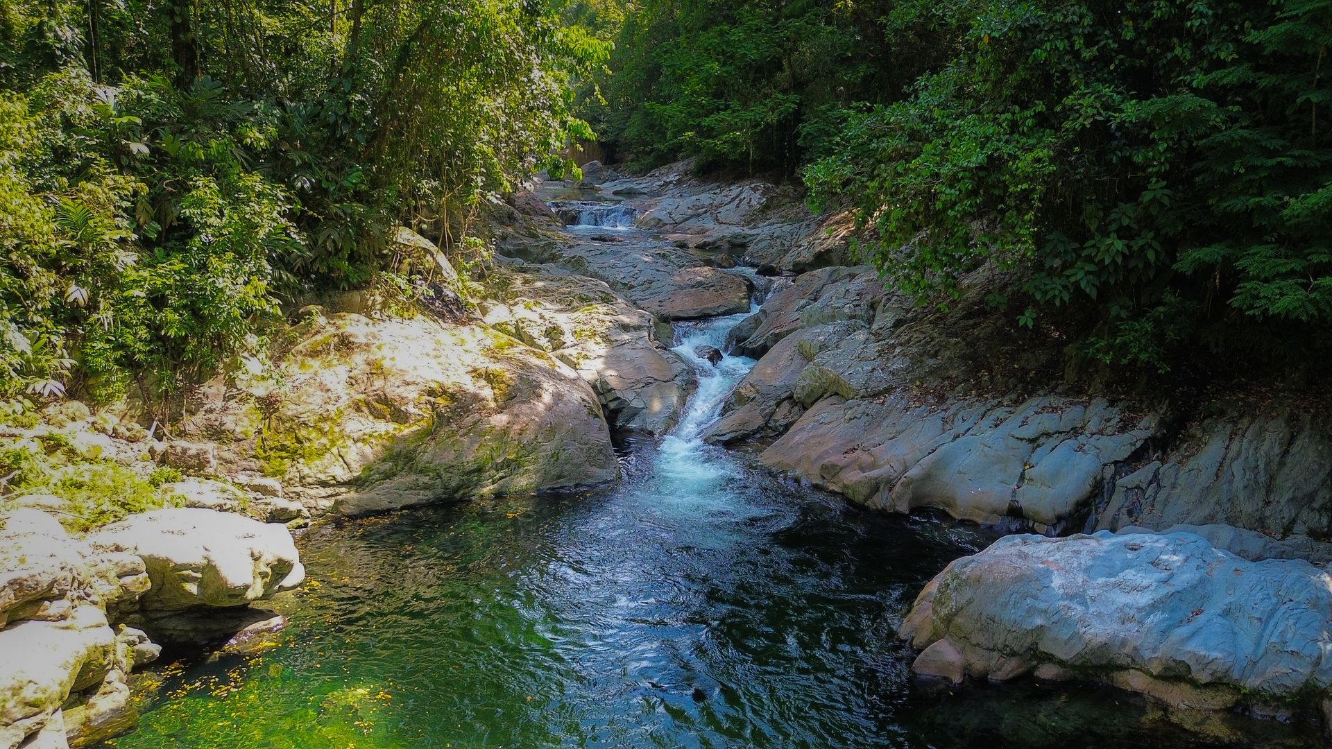 A river flowing through a lush green forest surrounded by rocks and trees.