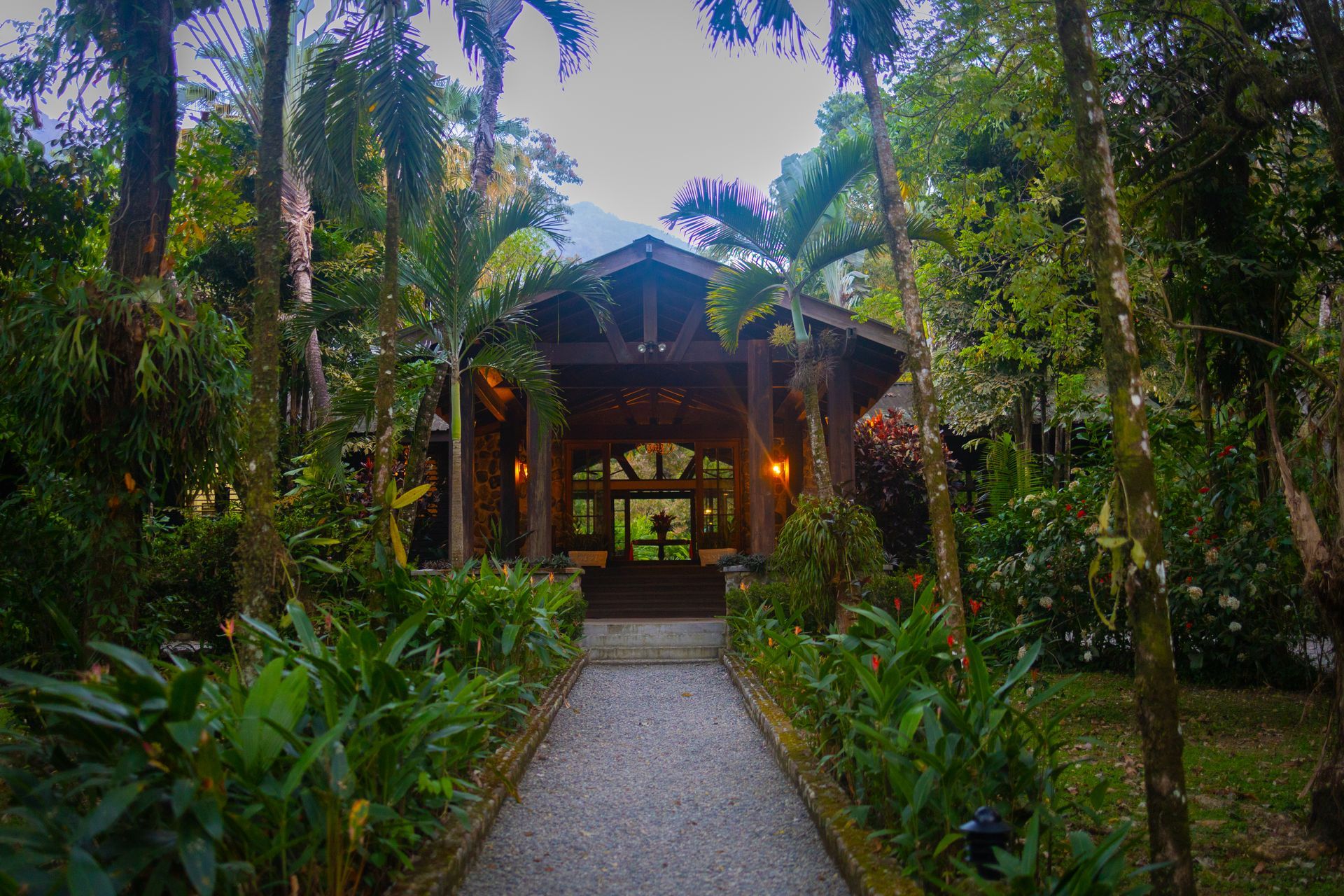 A path leading to a house in the middle of a lush green forest.