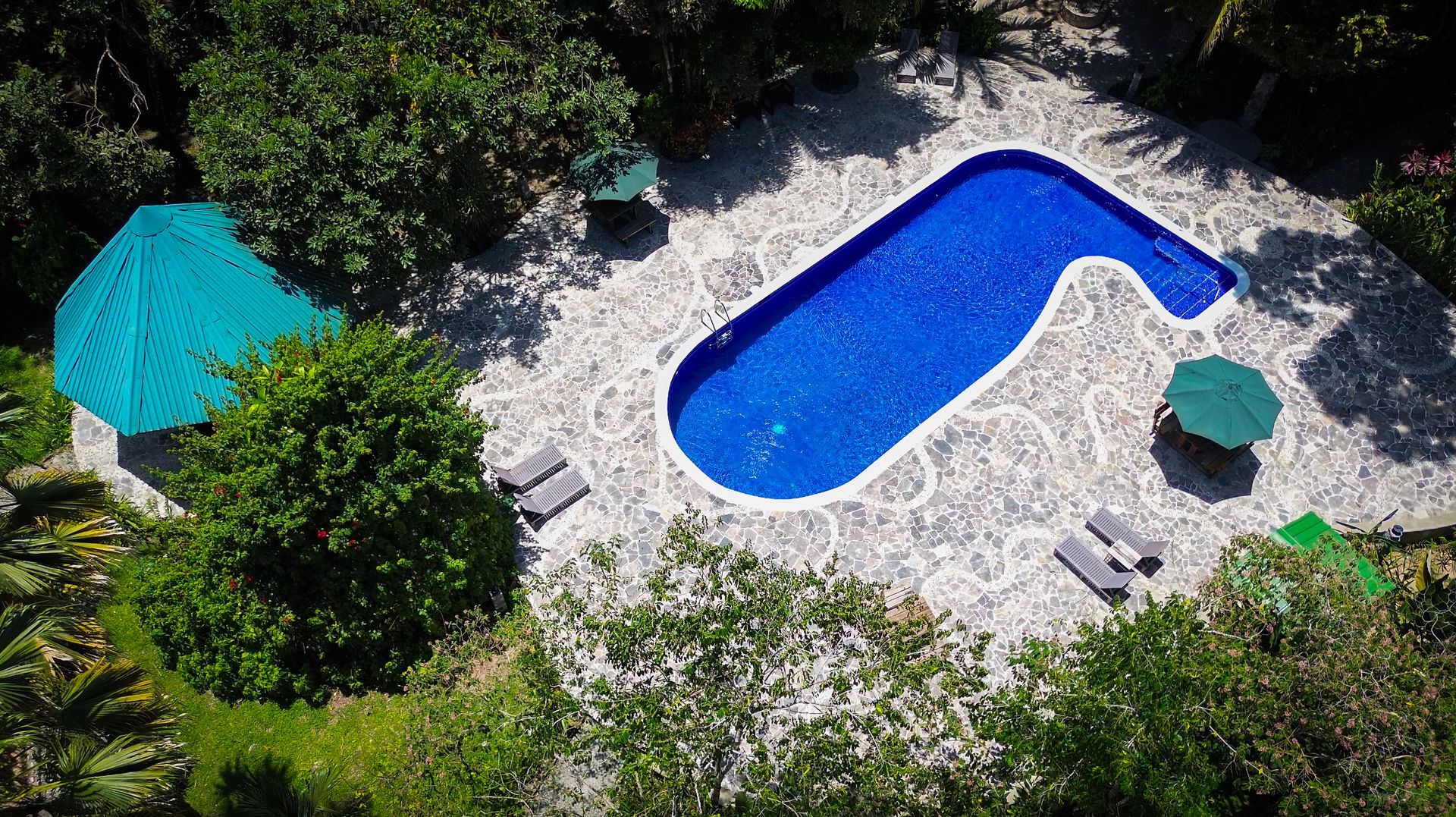 An aerial view of a large swimming pool surrounded by trees and chairs.