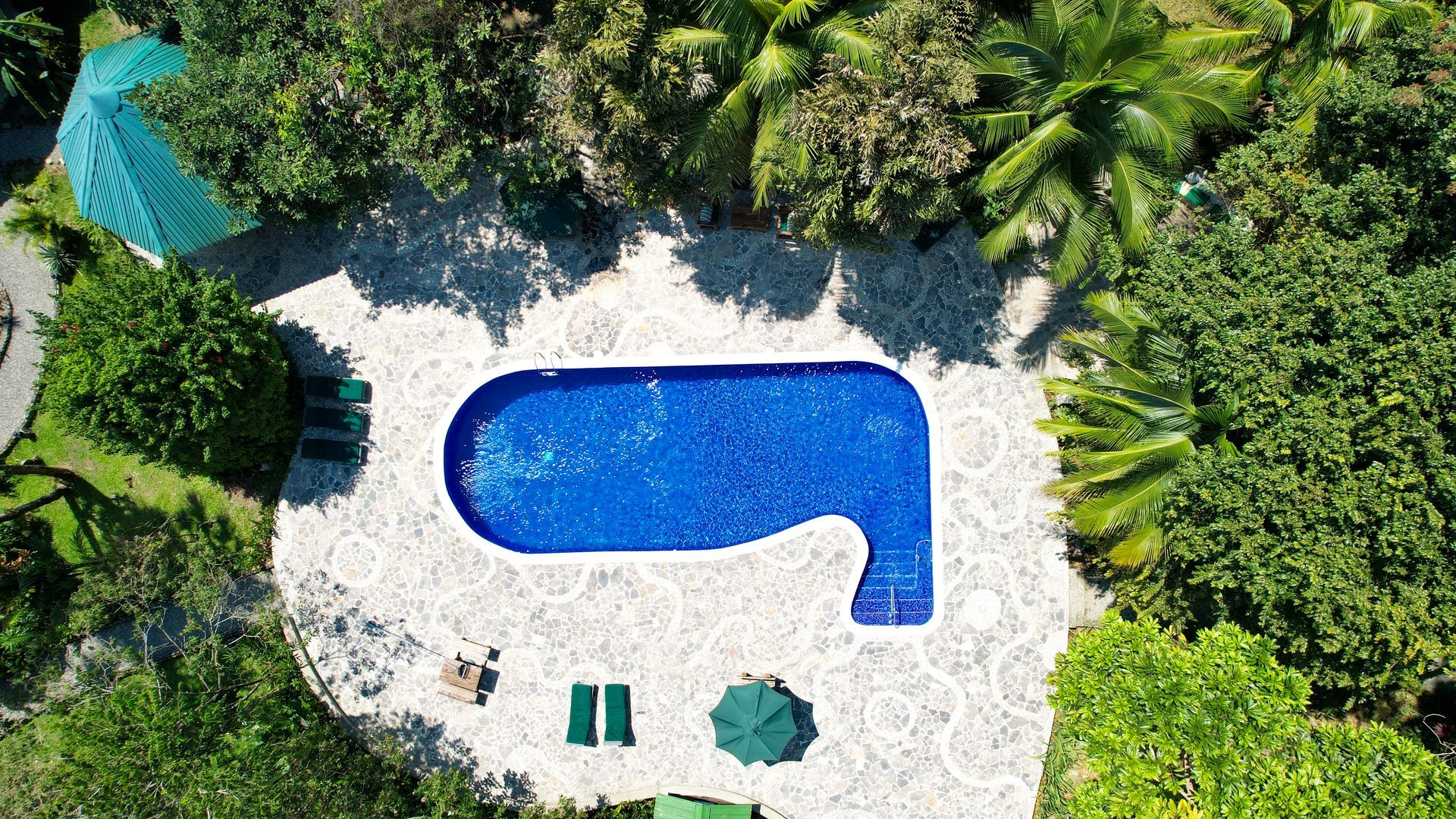 An aerial view of a large swimming pool surrounded by trees.