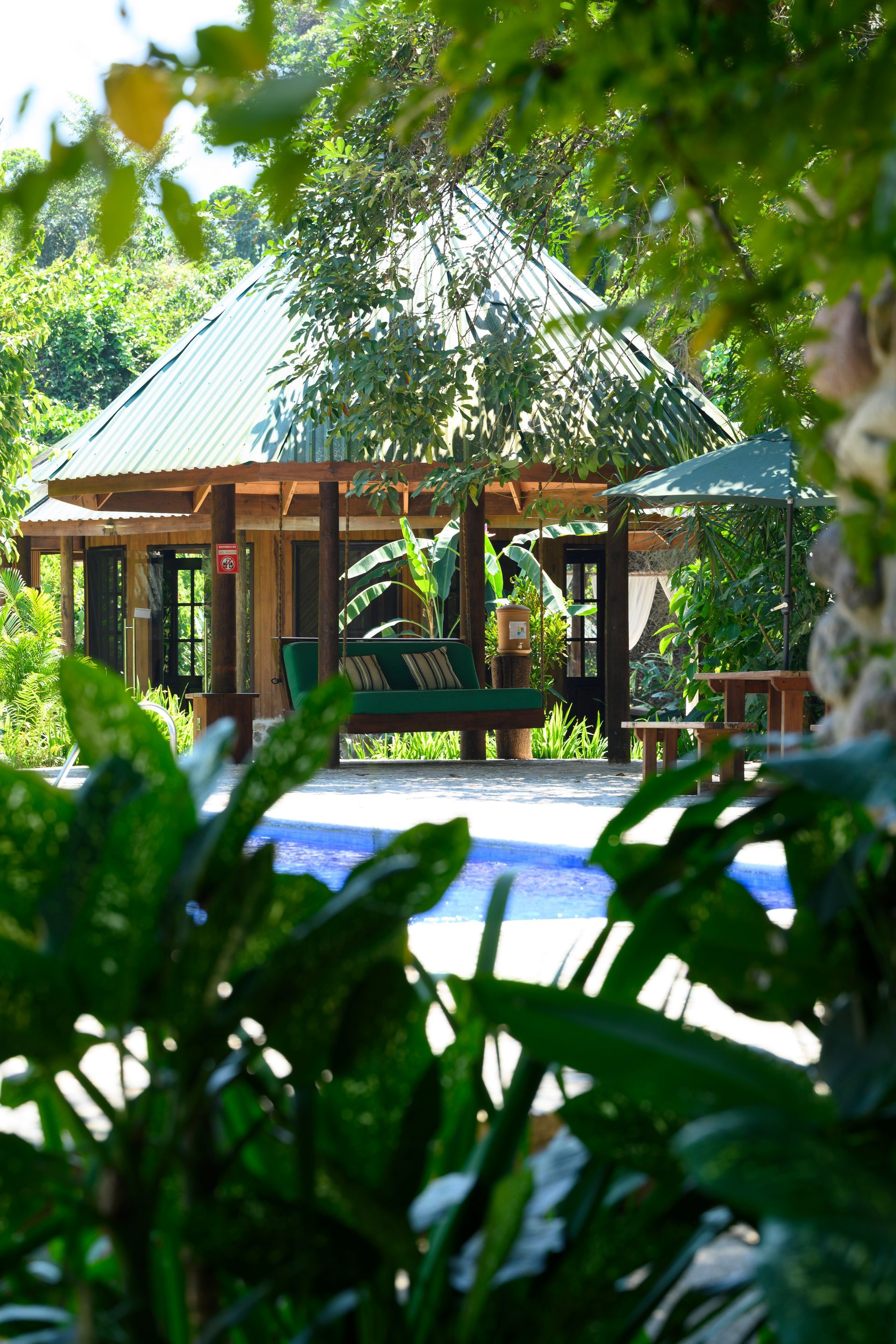 A house with a green roof is surrounded by trees and plants