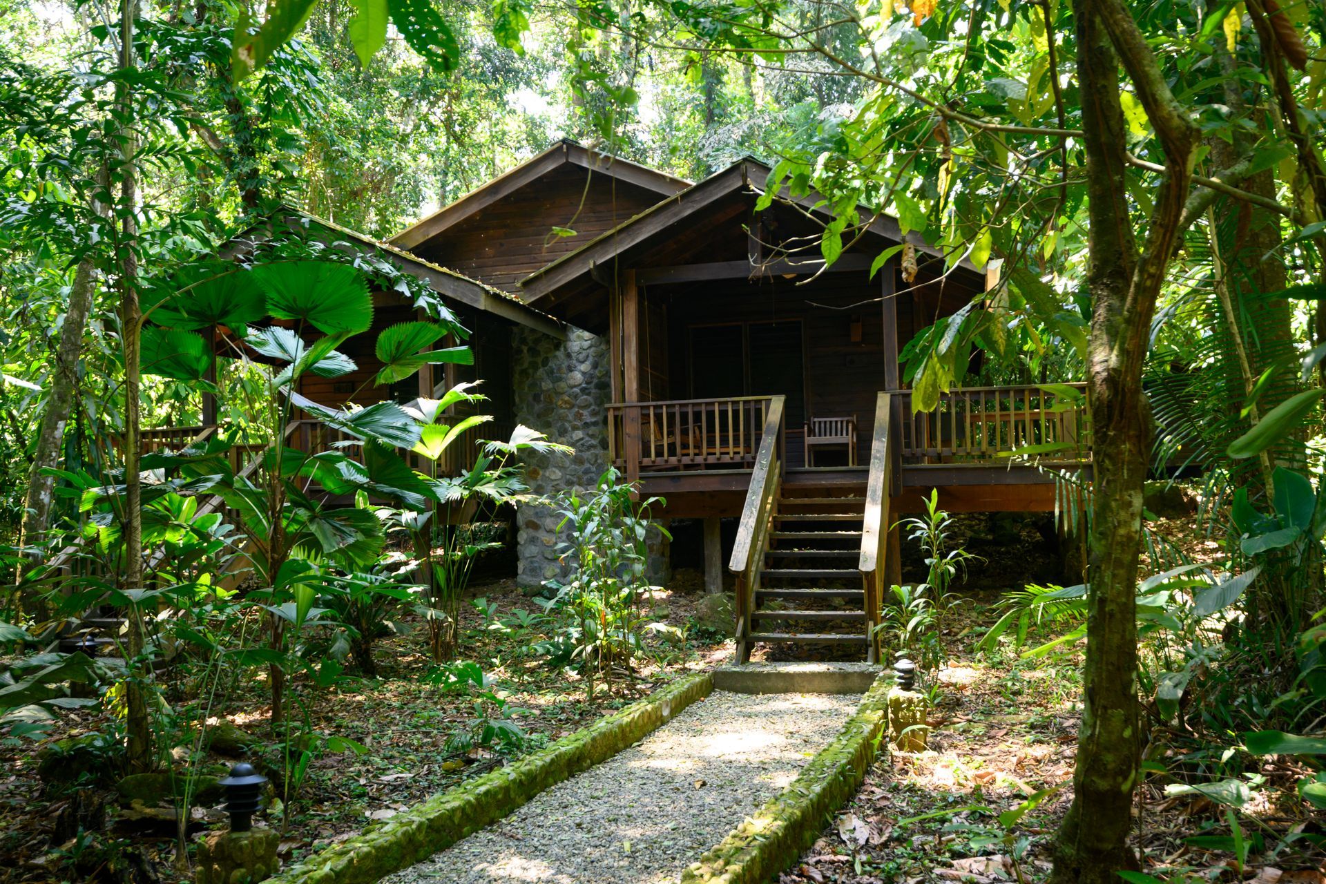 A small wooden house in the middle of a lush green forest.
