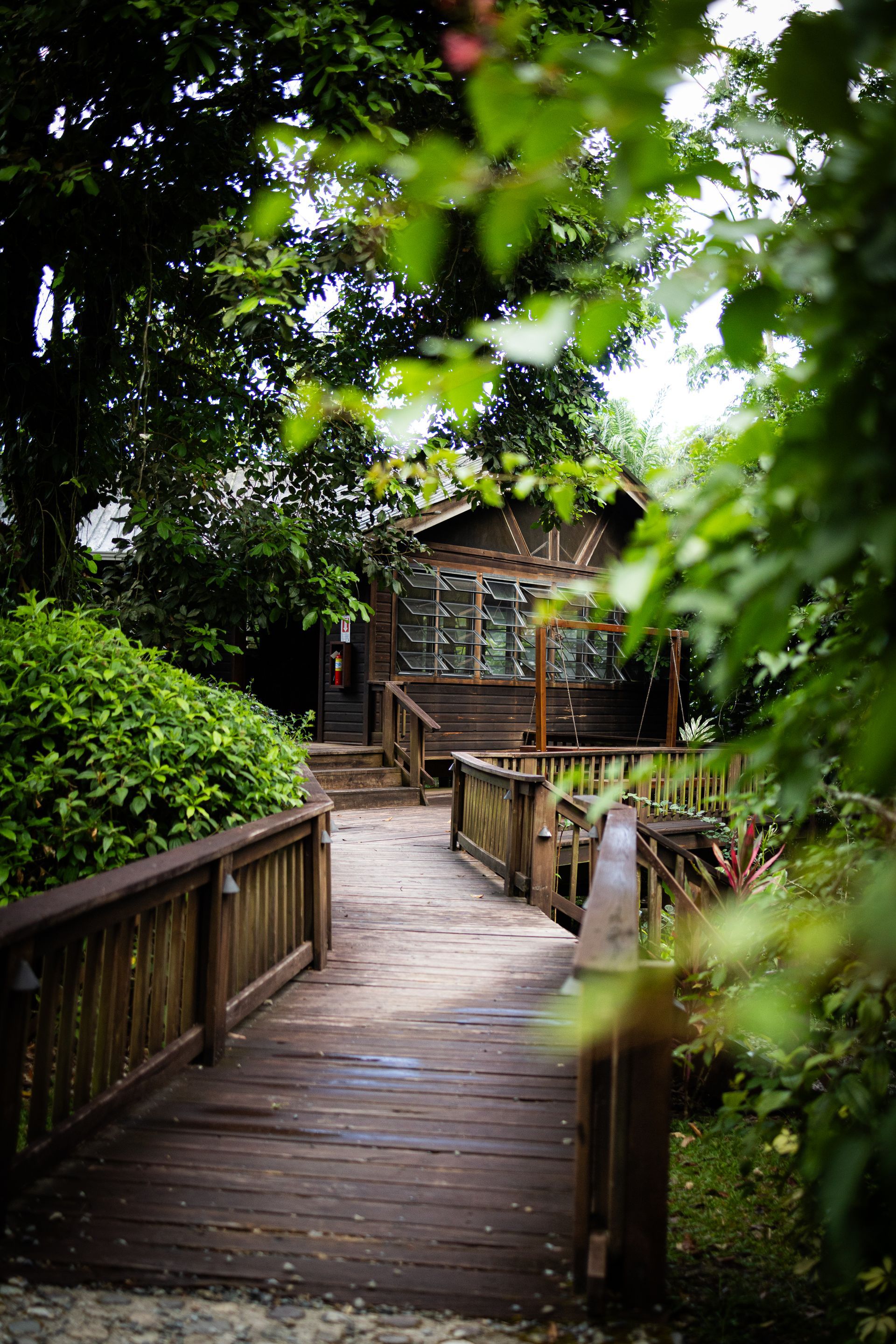 A wooden walkway leading to a house in the woods.
