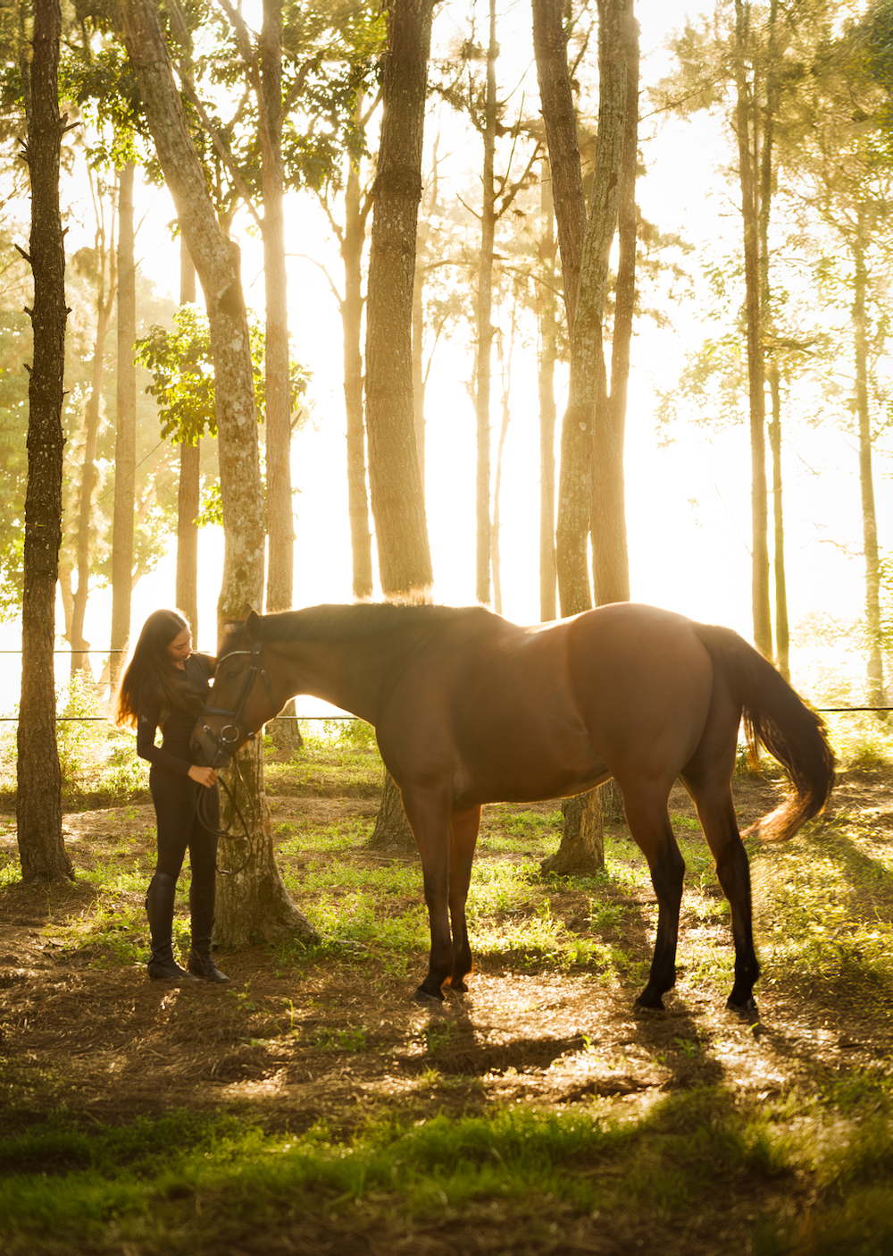 A woman is standing next to a horse in the woods.