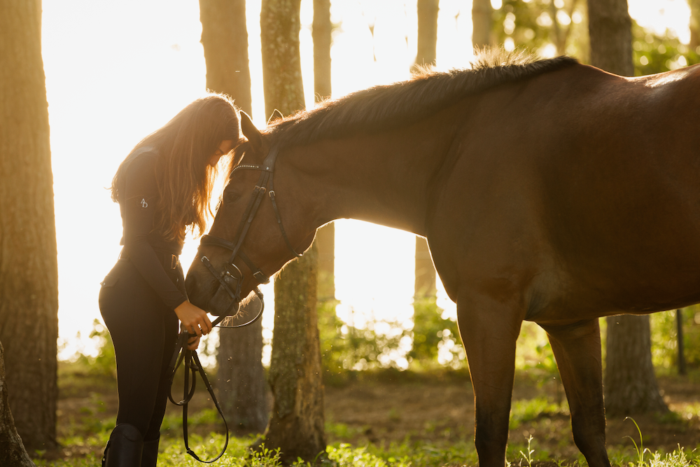 A woman is petting a brown horse in the woods.