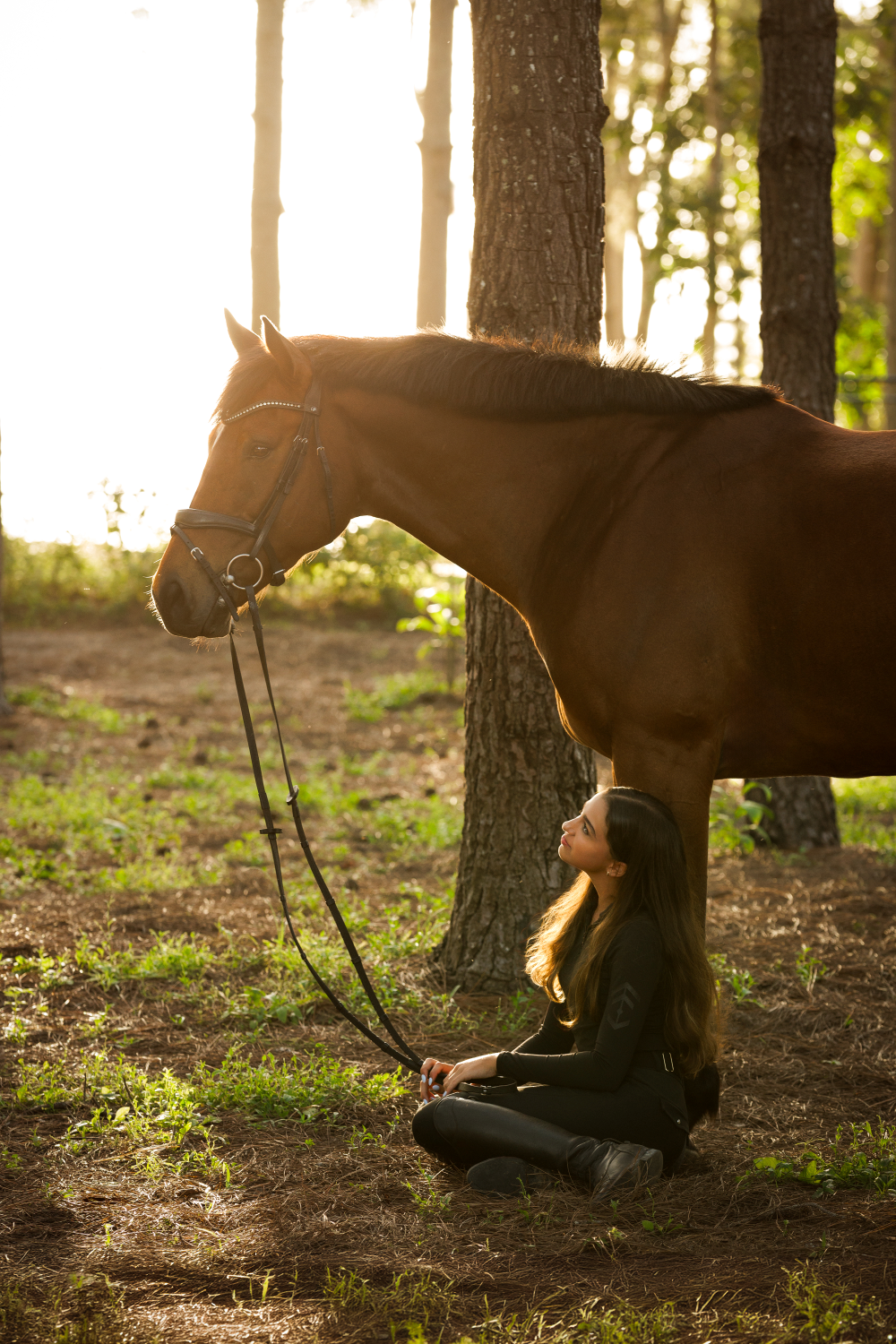 A woman is kneeling next to a brown horse in the woods.