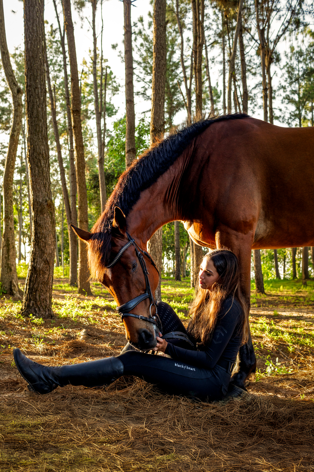 A woman is sitting next to a brown horse in the woods.