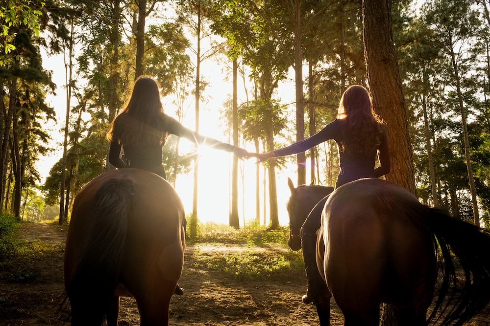 Two women are riding horses in the woods holding hands.
