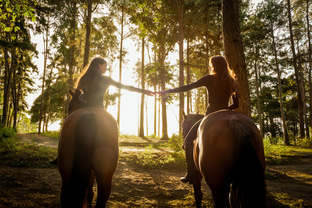 Two women are riding horses in the woods and holding hands.