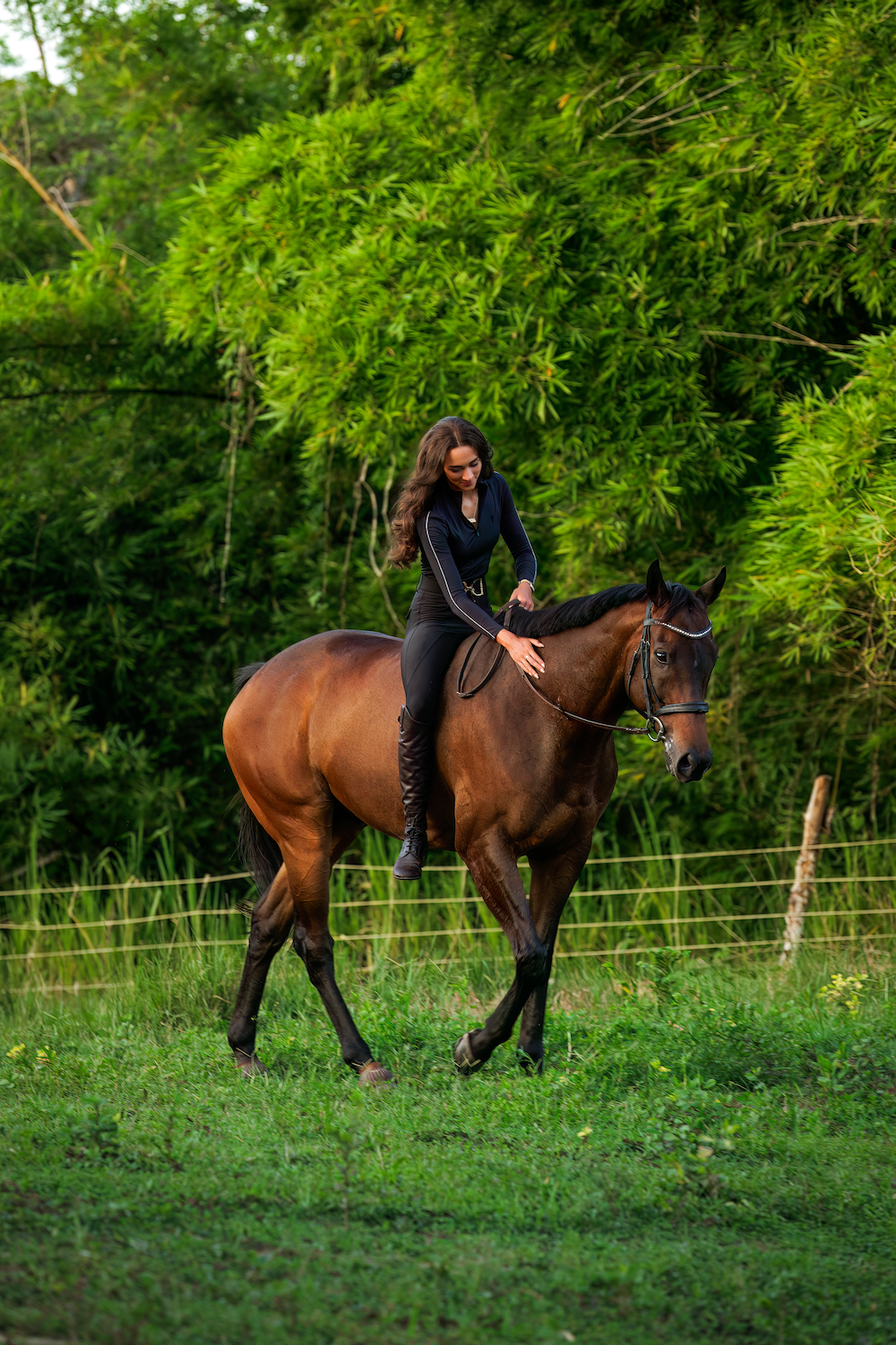 A woman is riding a brown horse in a field.