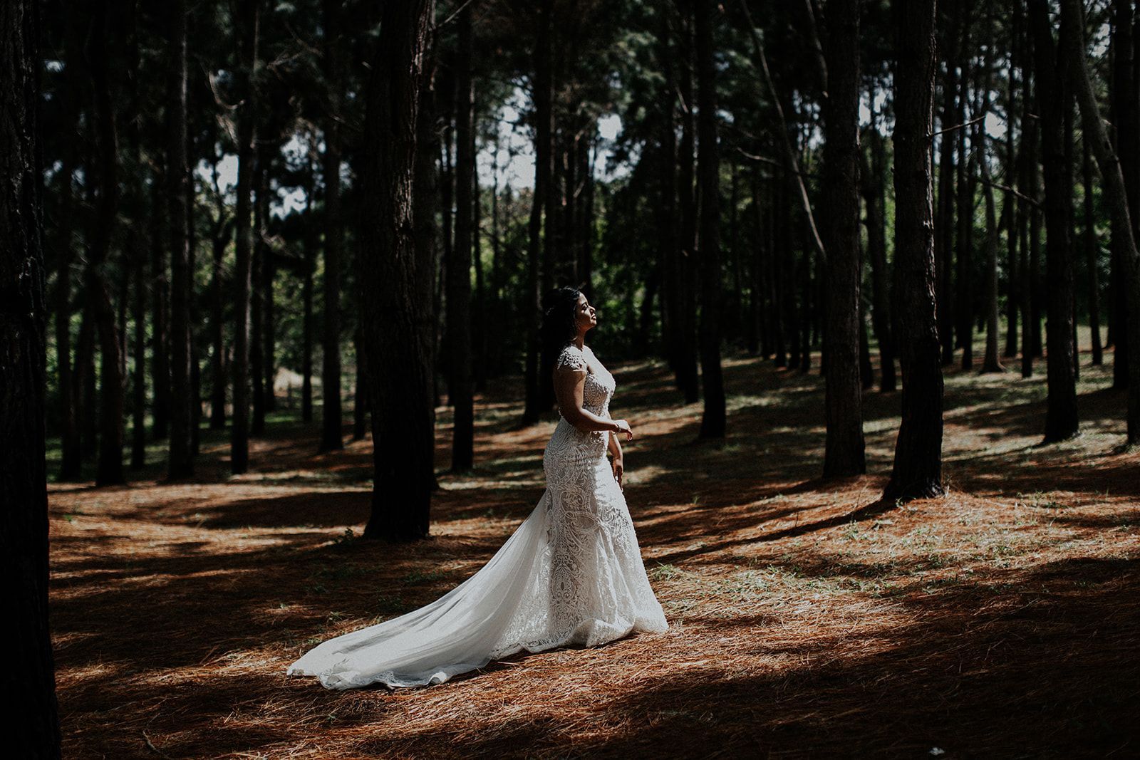 A woman in a wedding dress is standing in the middle of a forest.
