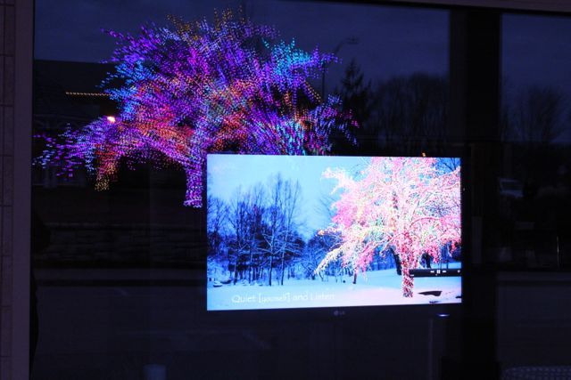 The Magic Tree | 2011 Gallery Photos