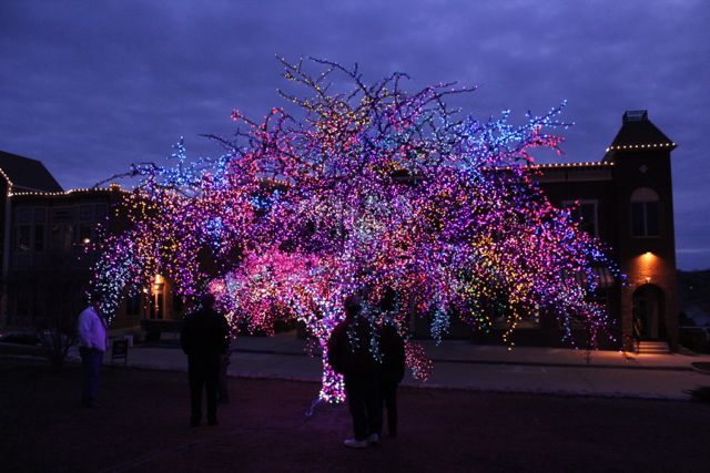 The Magic Tree | Reach Out & Contact The Magic Tree Team Today!