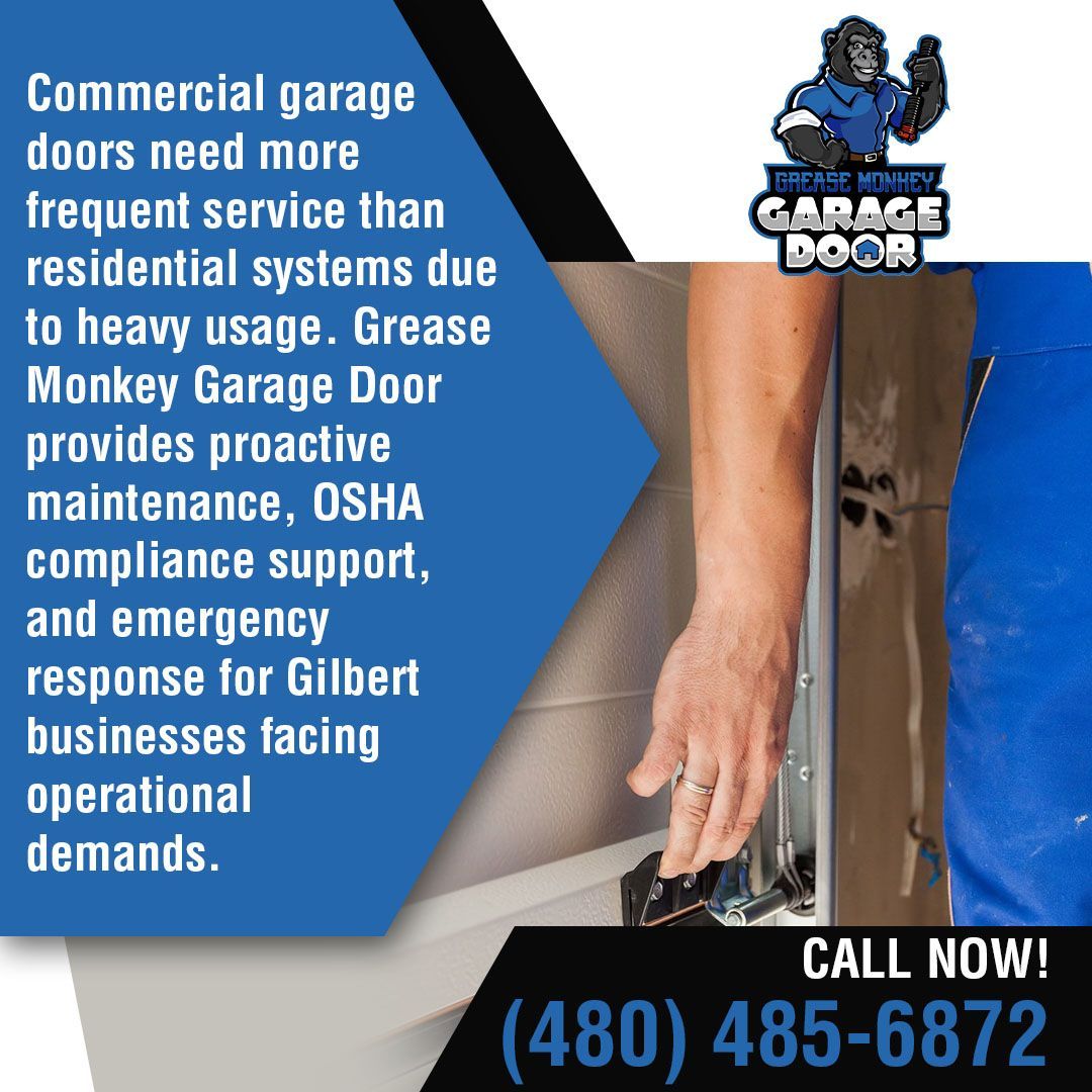 Technician examining a garage door opener motor and chain drive system. Professional Noise Solutions include same-day diagnostics, high-quality nylon rollers, certified spring tension handling, and preventive maintenance.