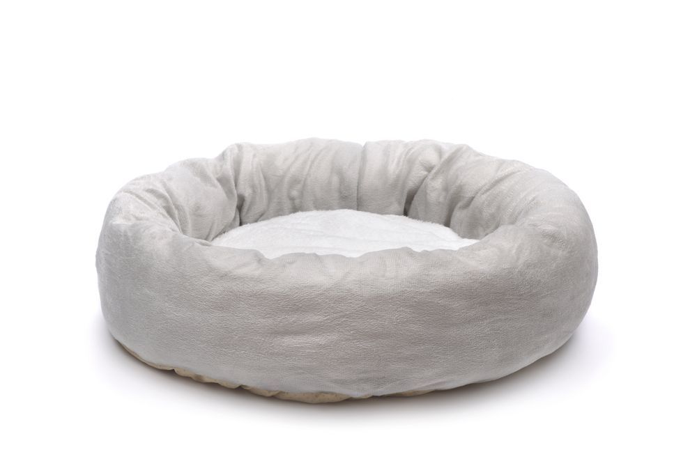 A White Dog Bed Is Sitting On A White Surface — Tanilba Bay Laundromat In Tanilba Bay, NSW