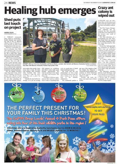 A Newspaper Article About a Healing Hub Emerging — Omni Builders In Bungalow, QLD
