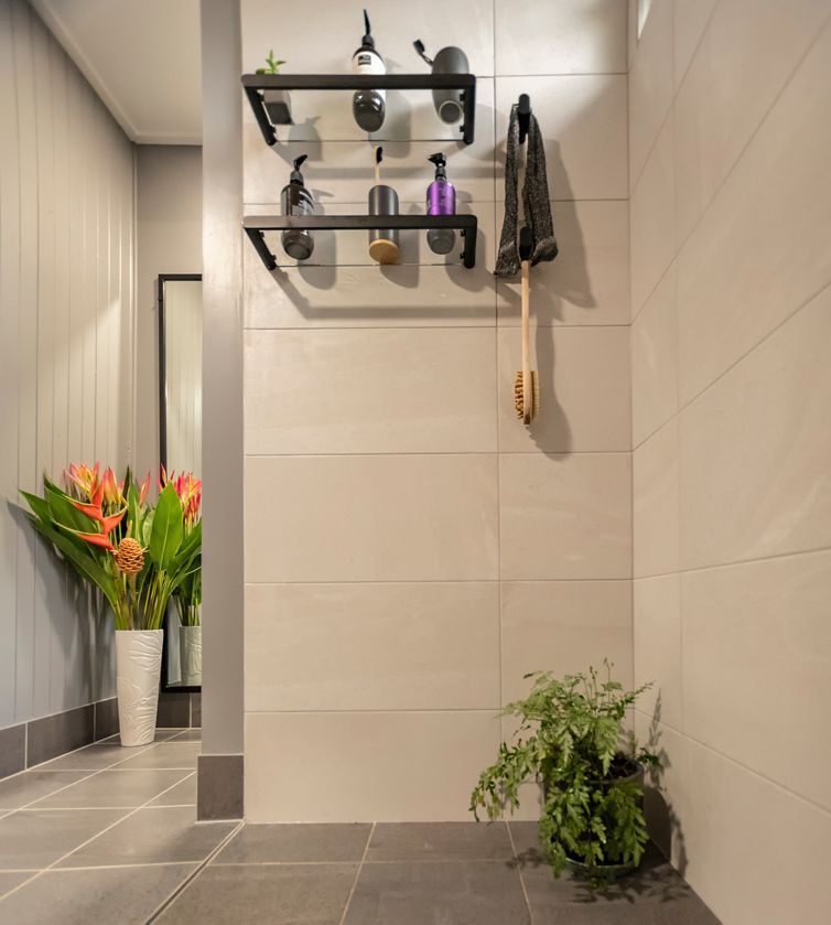 A Bathroom With a Plant on the Floor and a Shelf With Bottles on It — Omni Builders In Bungalow, QLD