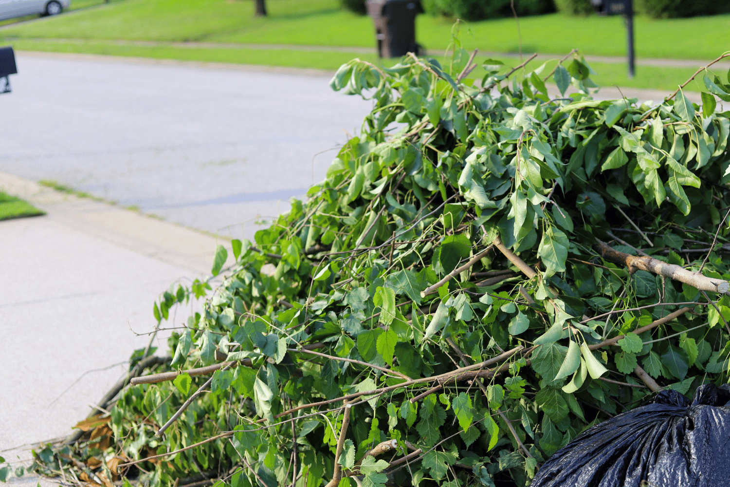 A pile of branches and leaves on the side of the road next to a trash bag.
